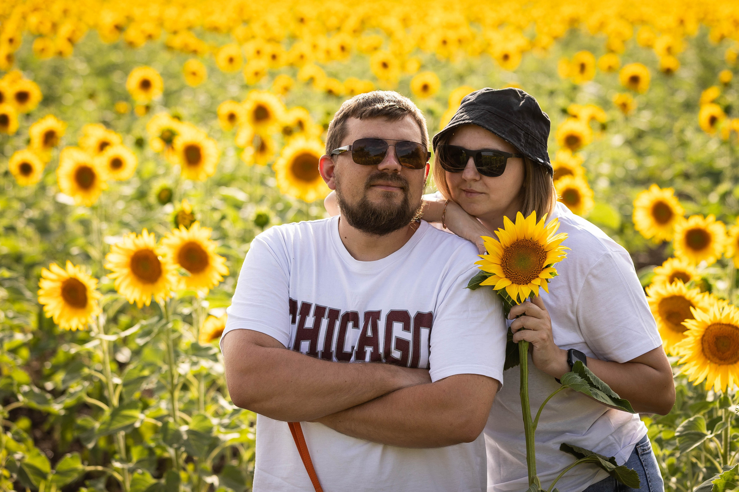 ПОДСОЛНУХИ. Фотограф-АниМалист Анна Абрамова