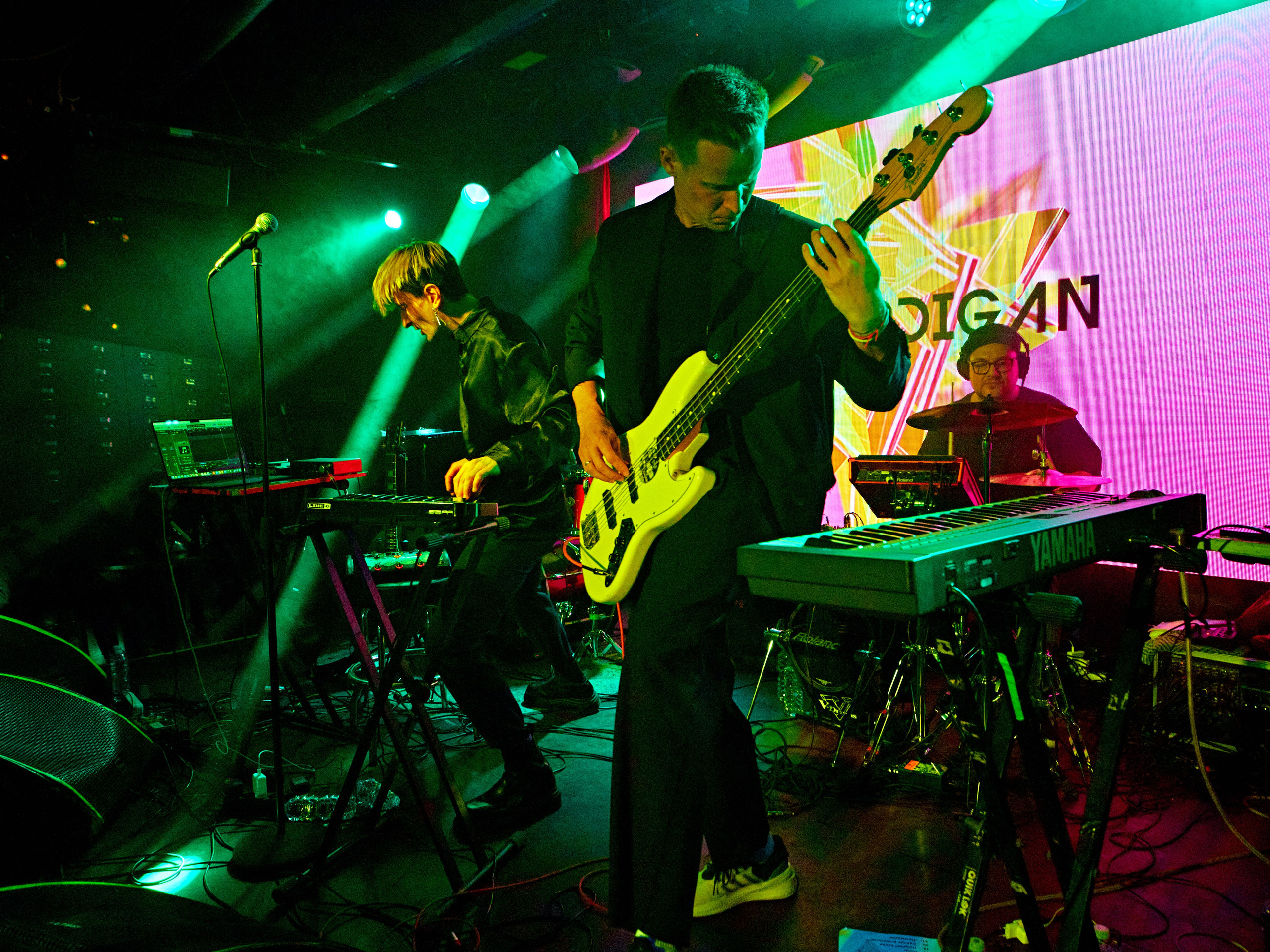 Концерты. Фотограф всего