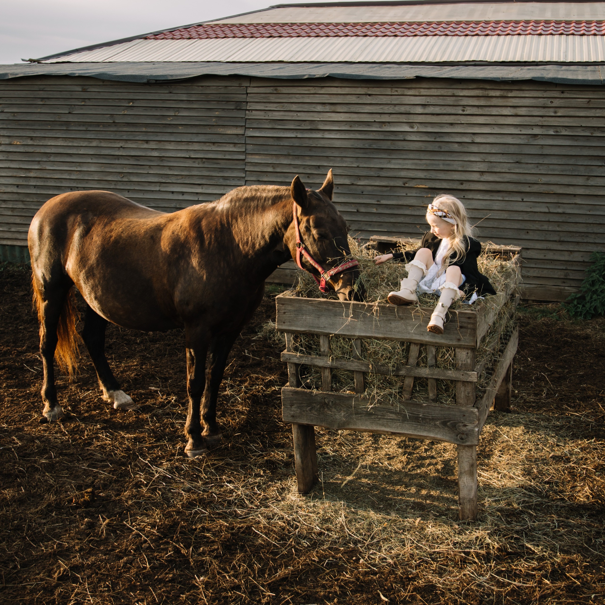 Семейные съемки. Фотограф и видеограф в Санкт-Петербурге Прохорова Надежда