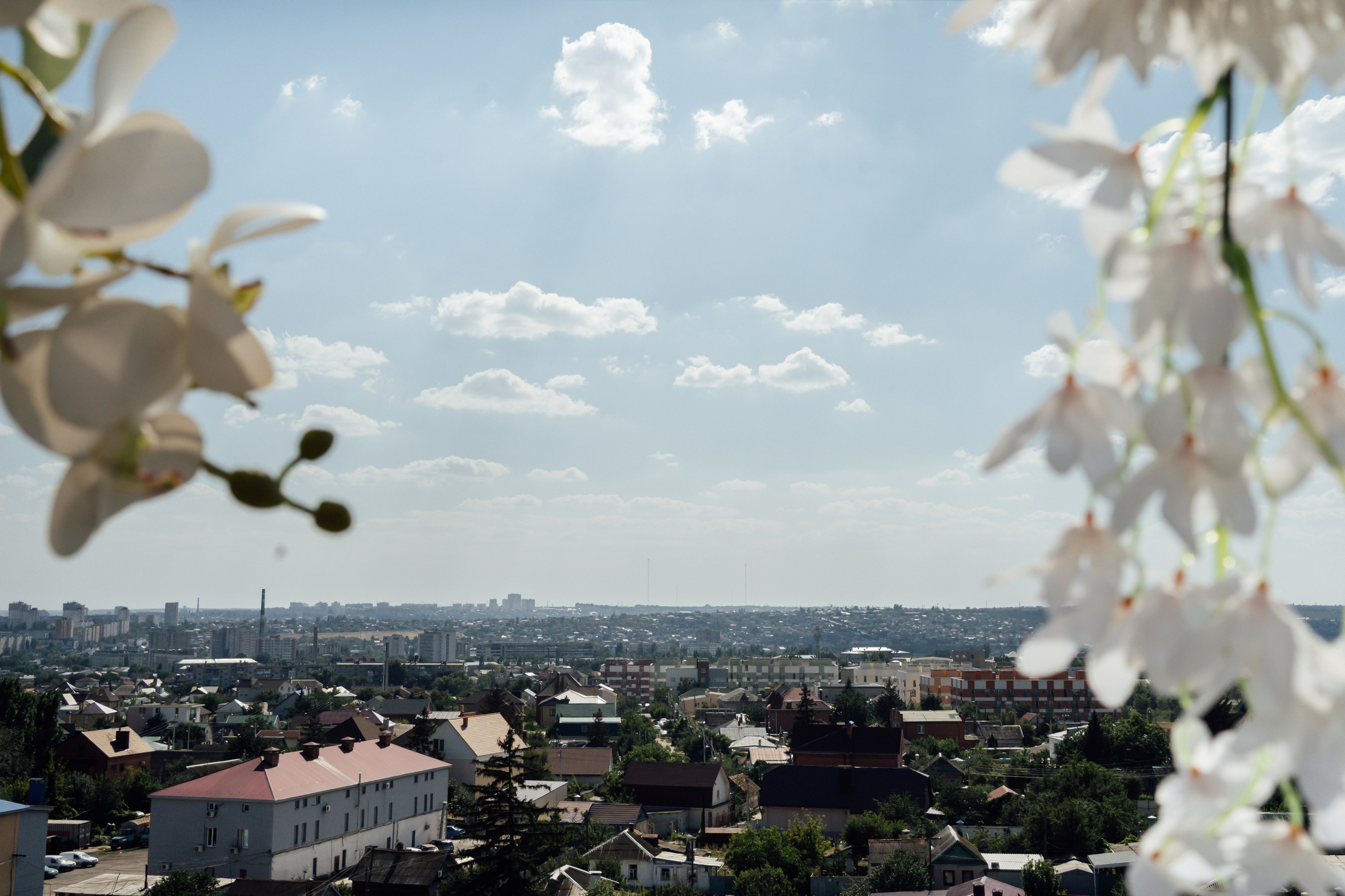 Ярослав и Анастасия. Свадебный и семейный фотограф в Волгограде Наталья Наумова