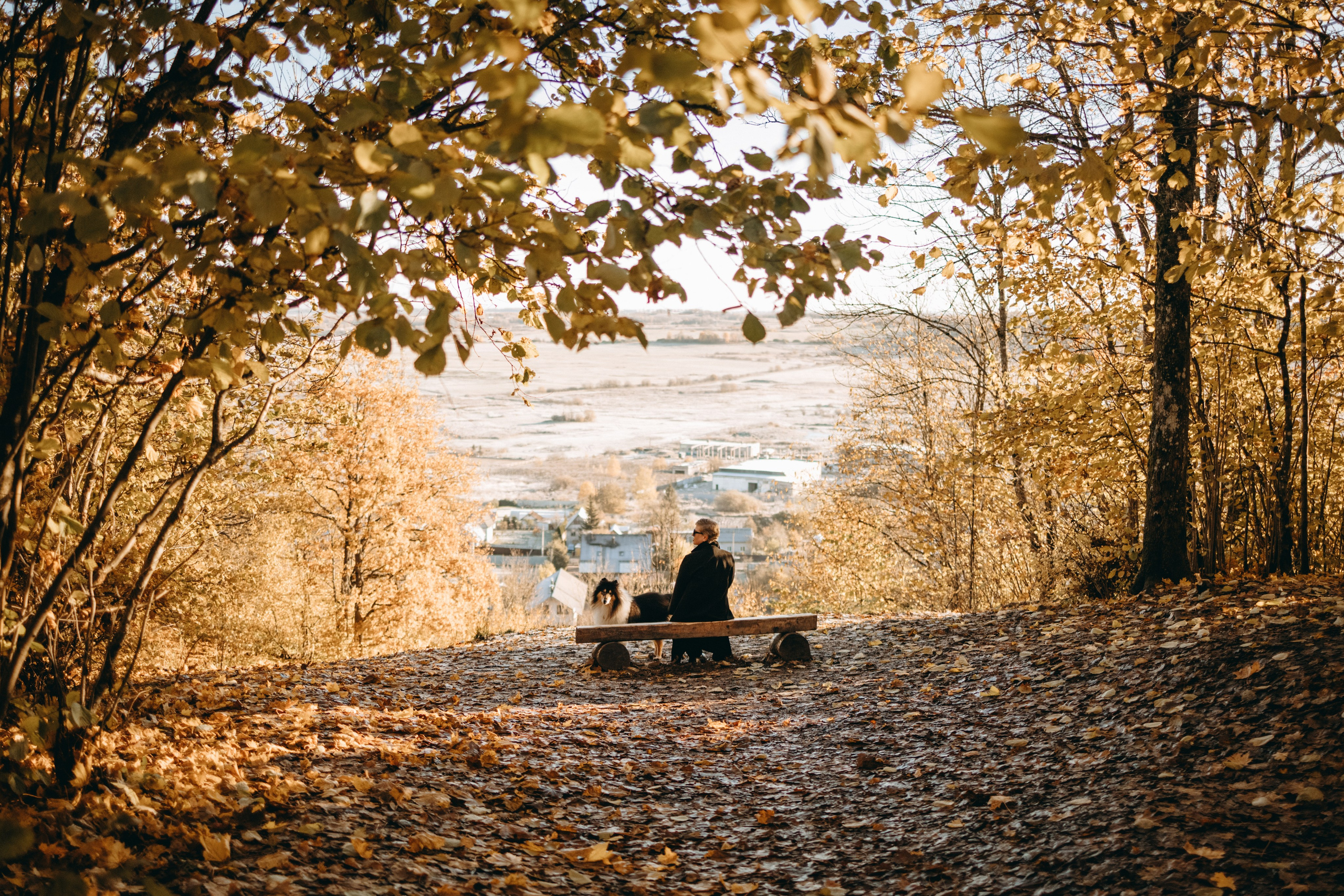 Ия и Барт. Фотограф — Анималист | Санкт-Петербург