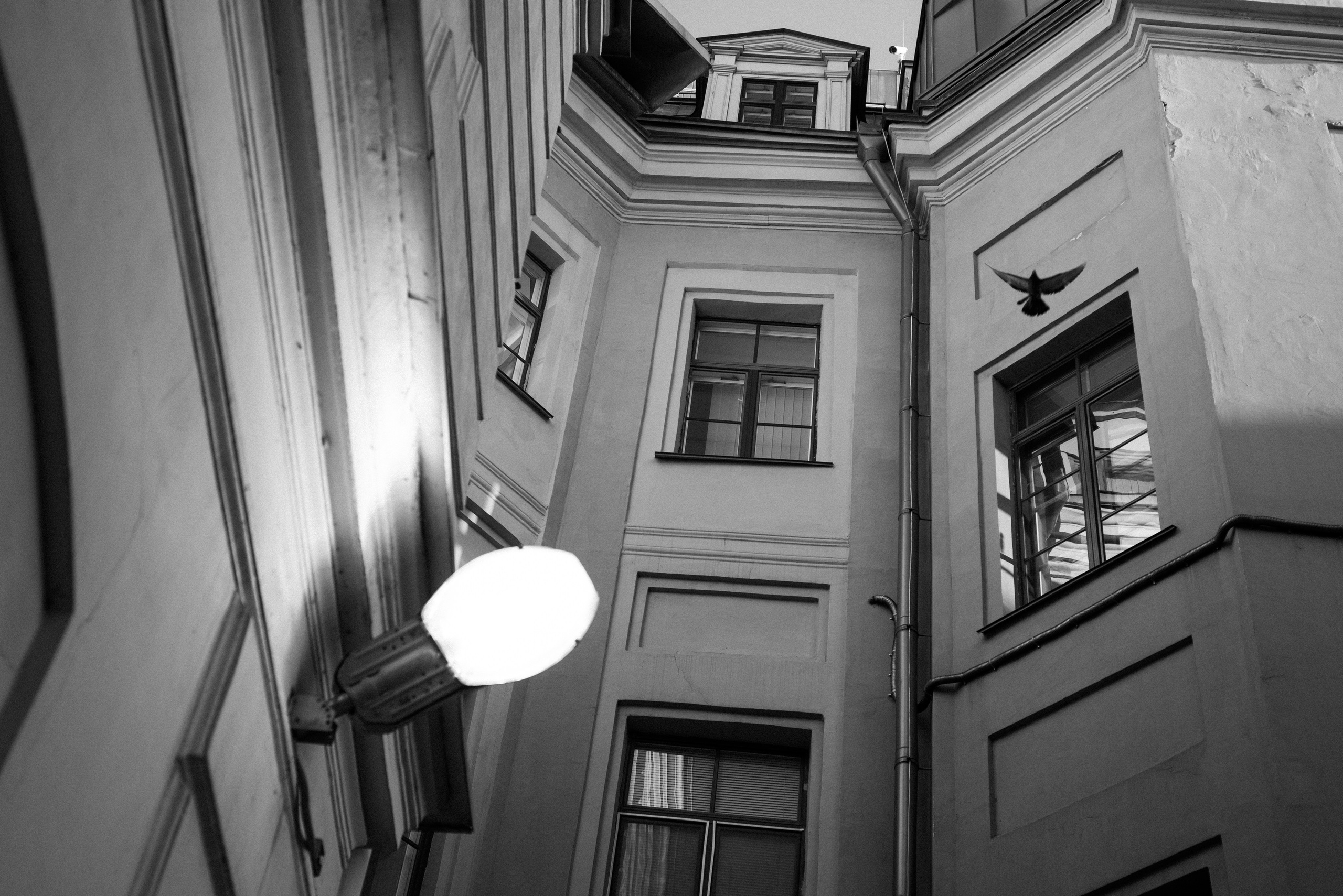 Андрей Корепов. Фотограф в Санкт-Петербурге