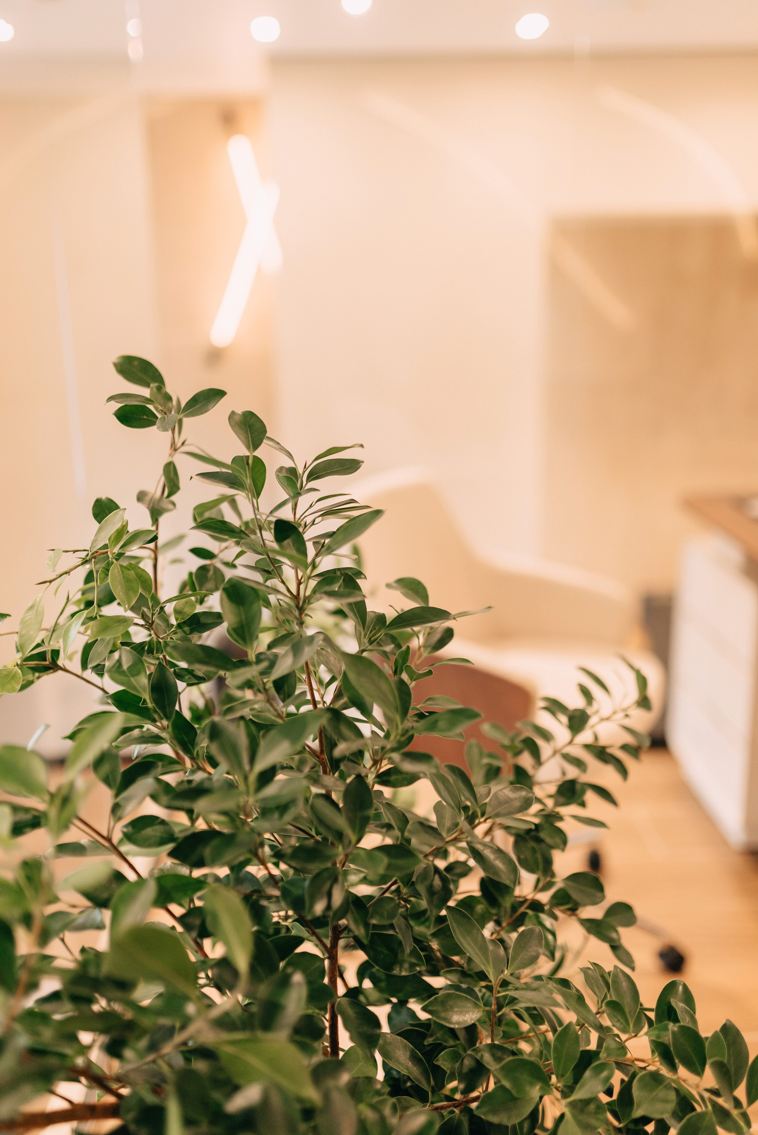 Открытие офиса «Santour». Фотограф Катерина Оляпка в Перми