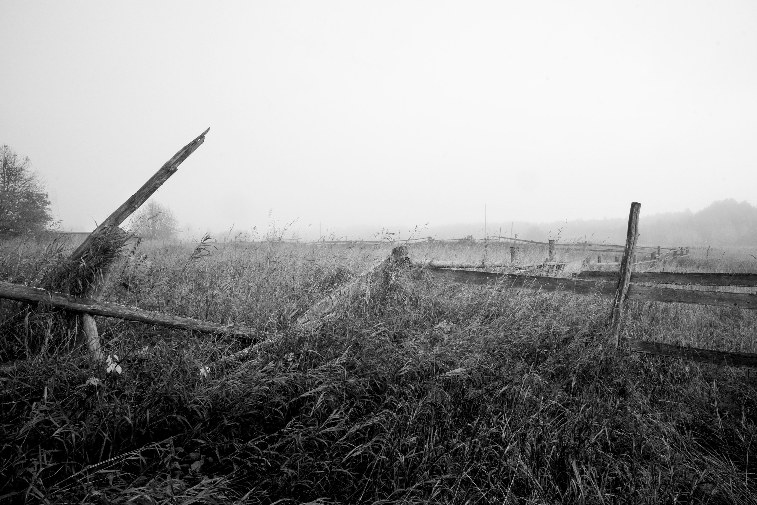Деревня / Север II. Фотограф Антон Денисенко: Портрет, Документалистика, Пейзаж. Москва