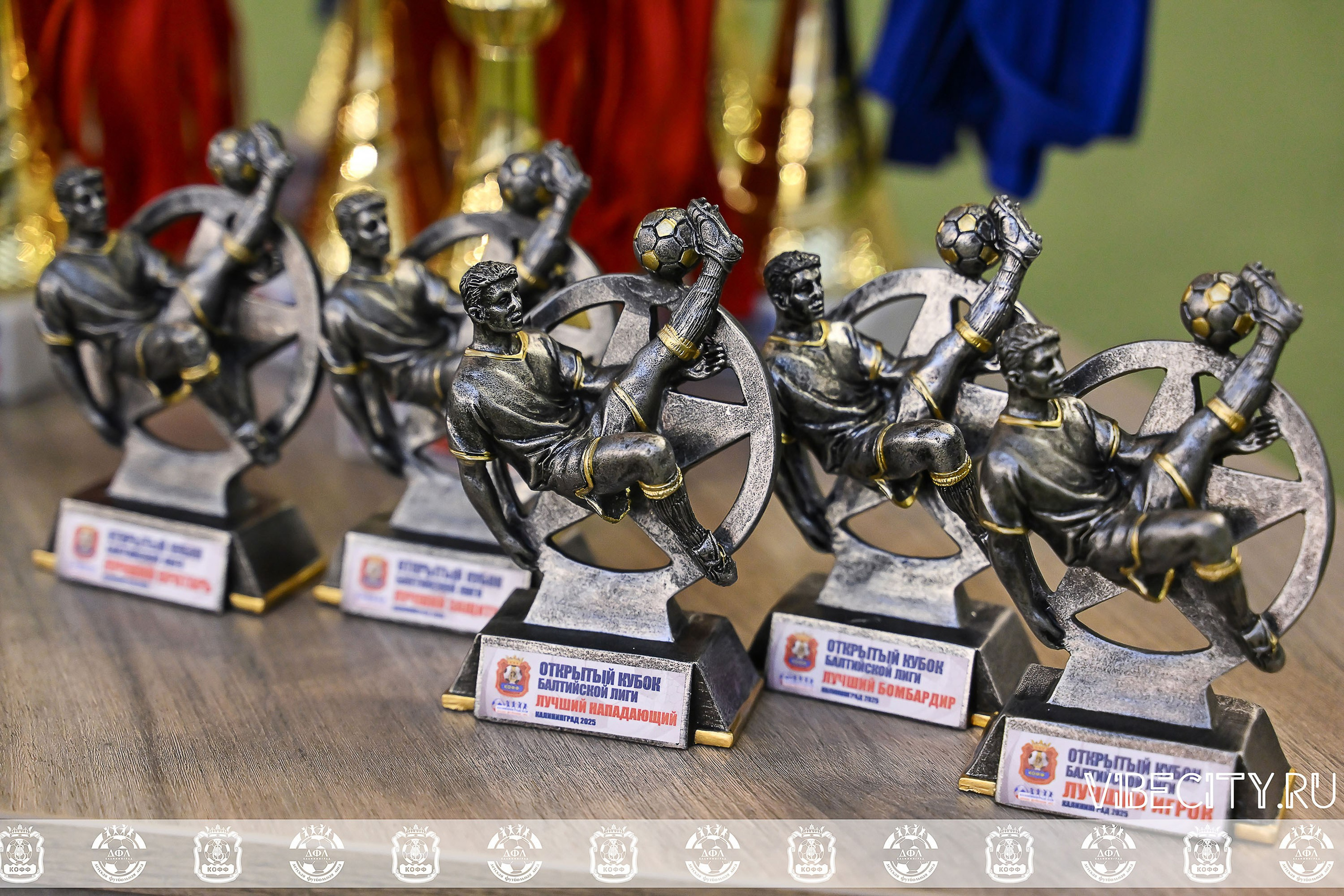 КУБОК БАЛТИЙСКОЙ ЛИГИ U6. VIBECITY.RU Вайб Сити Ру Фоторепортажи Фотоотчеты Калининград