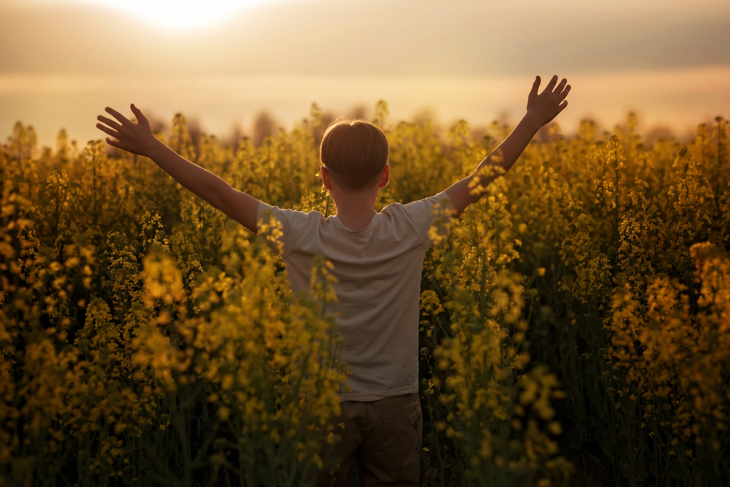 Рапс. Семейный и детский фотограф Екатерина Савёлова