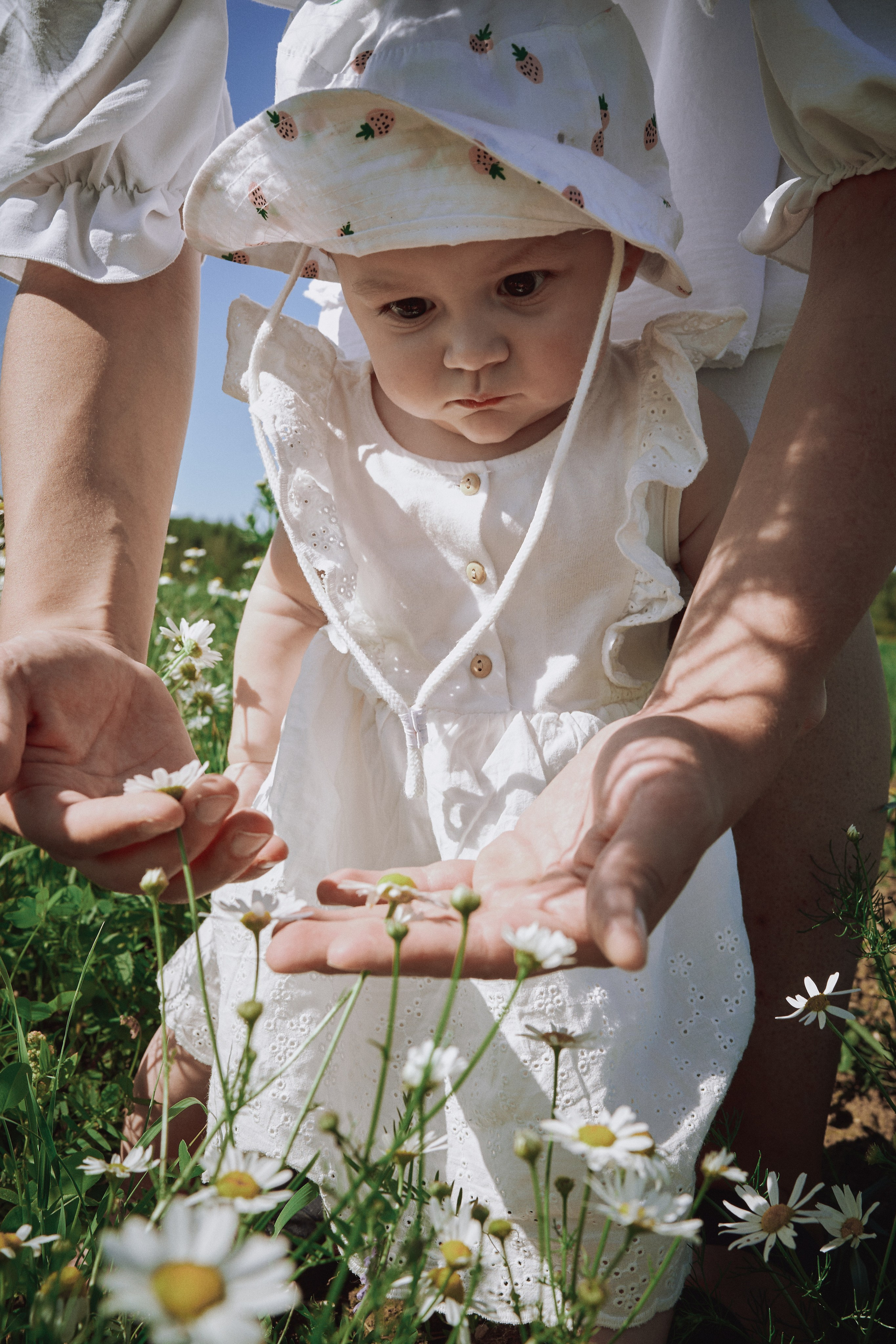 Поле с ромашками. Фотограф в Санкт-Петербурге | Аня Маленчук