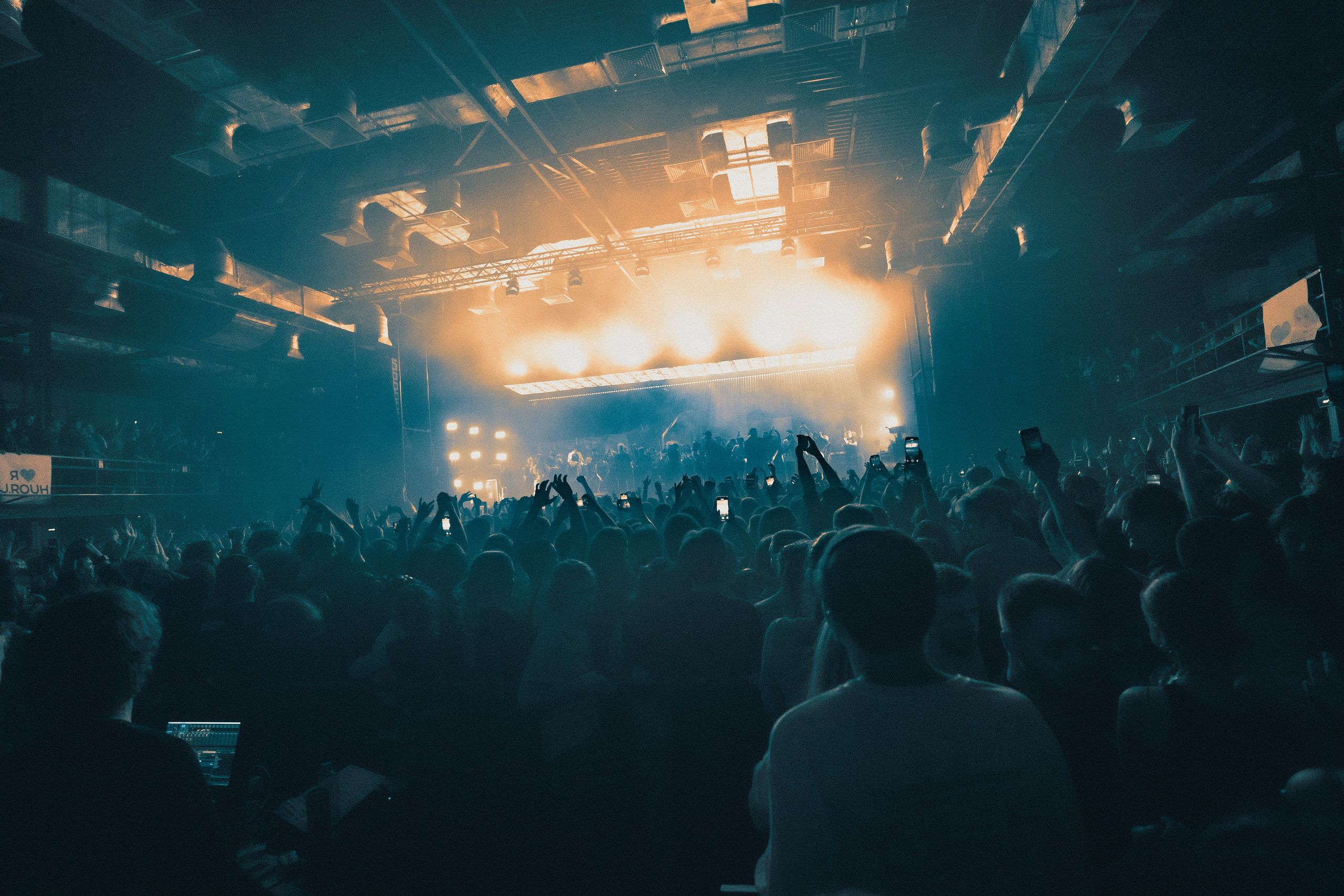 SALUKI. PASHAHARCE PHOTOGRAPHER & VIDEOGRAPHER