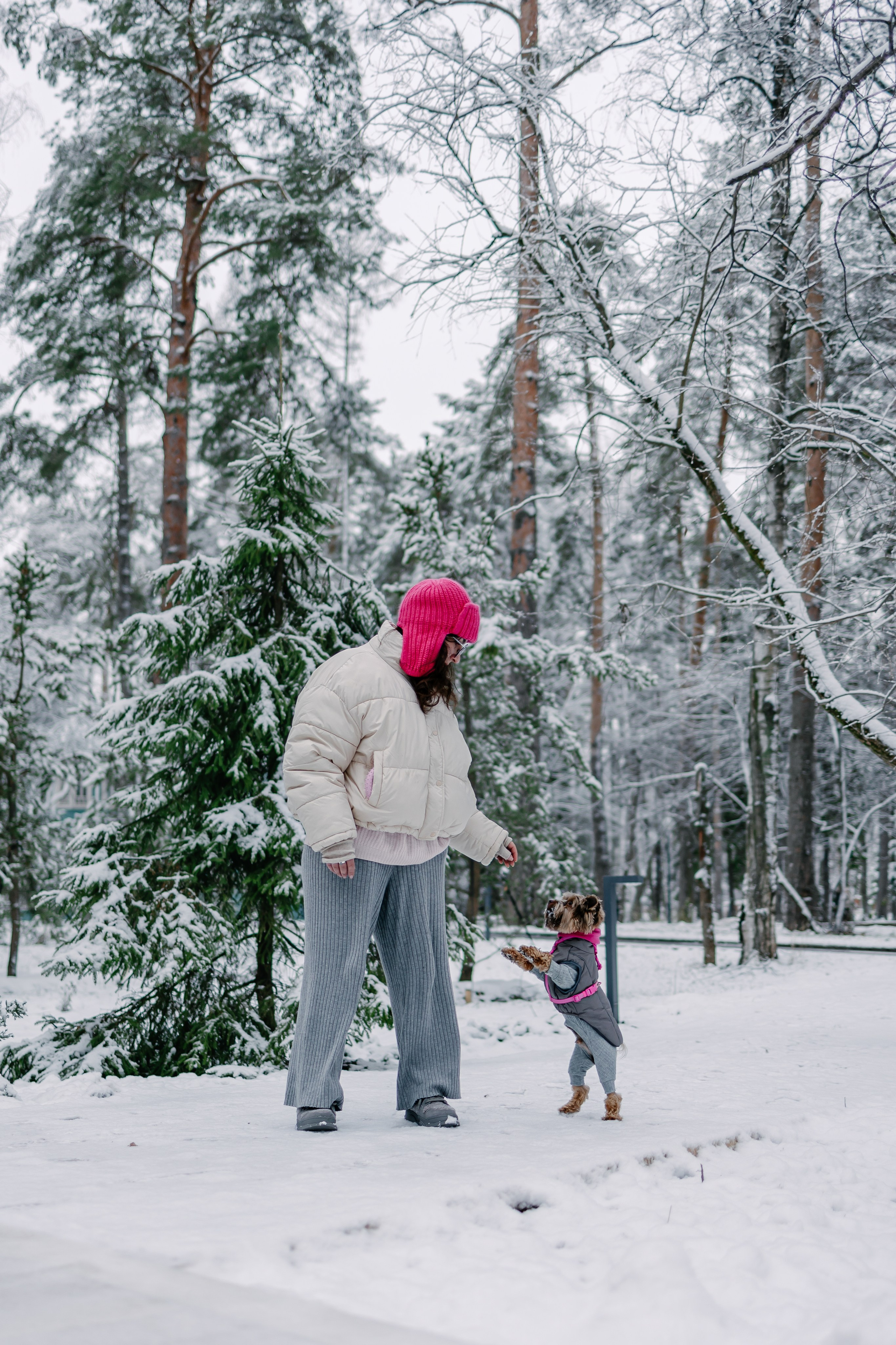 Лиза и Рикки. Фотограф-анималист в Санкт-Петербурге Алина Яхонт