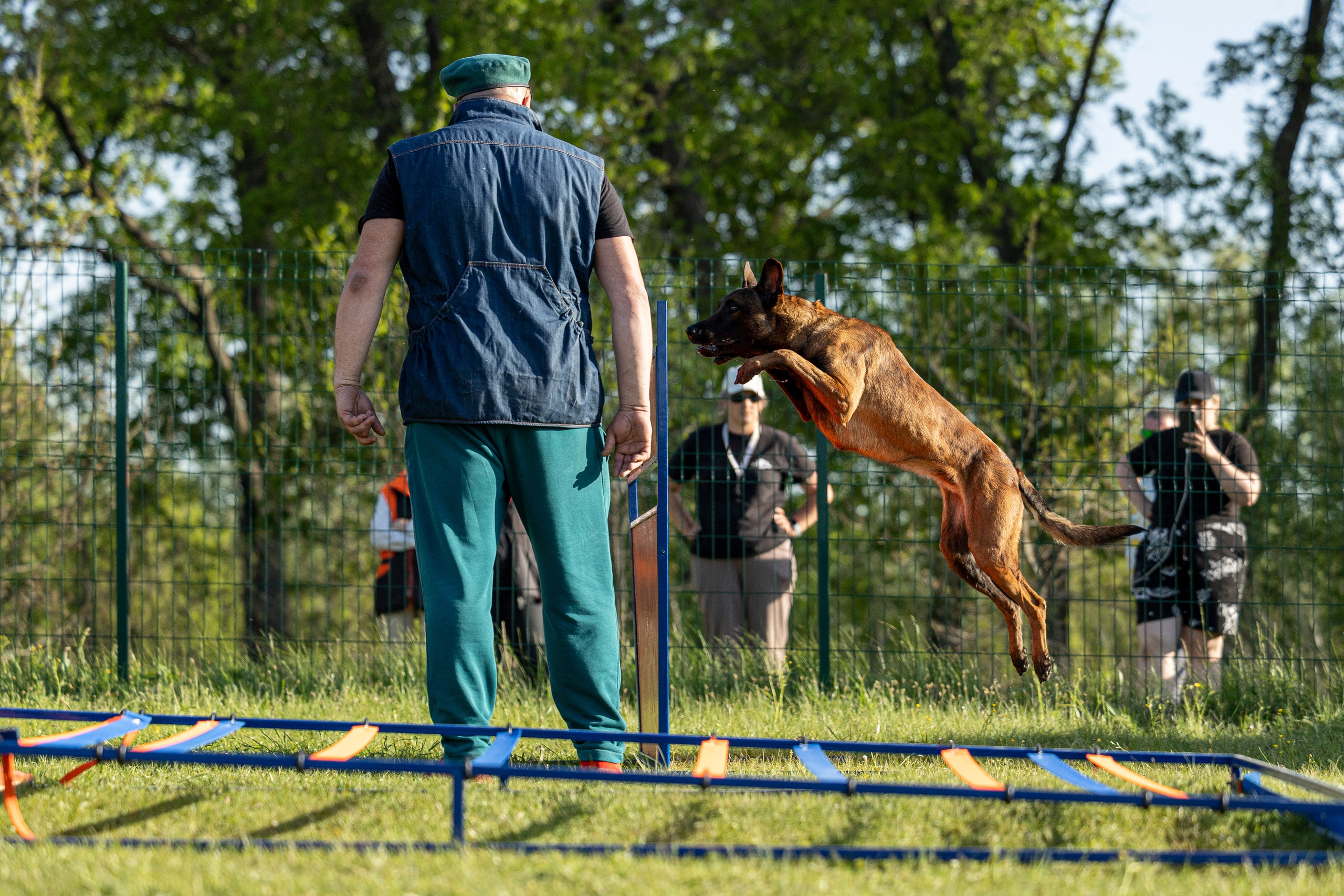 Испытания по мондьорингу в Нижнем Новгороде. Фотограф-анималист Анна Маринич