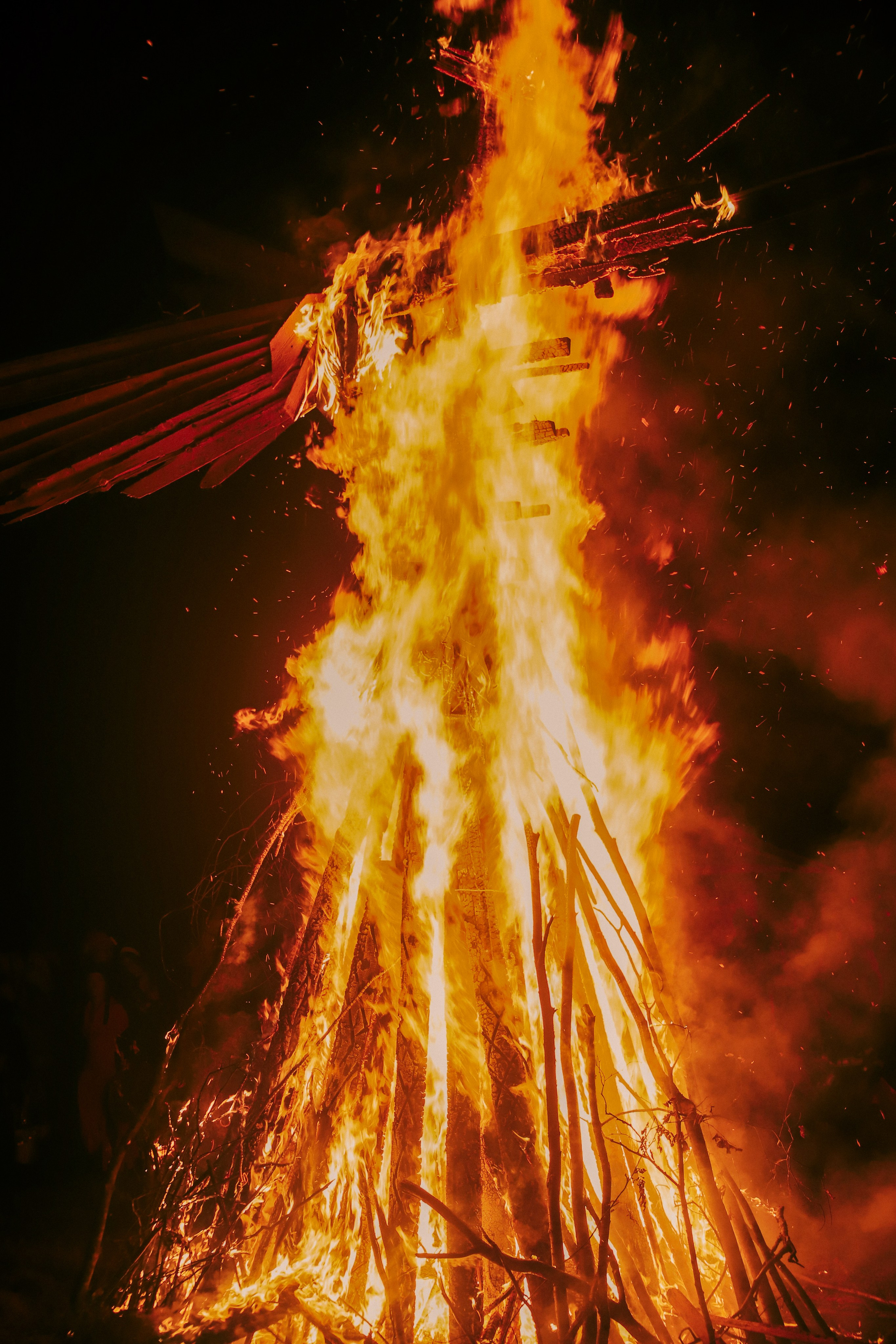 Фестиваль Жива