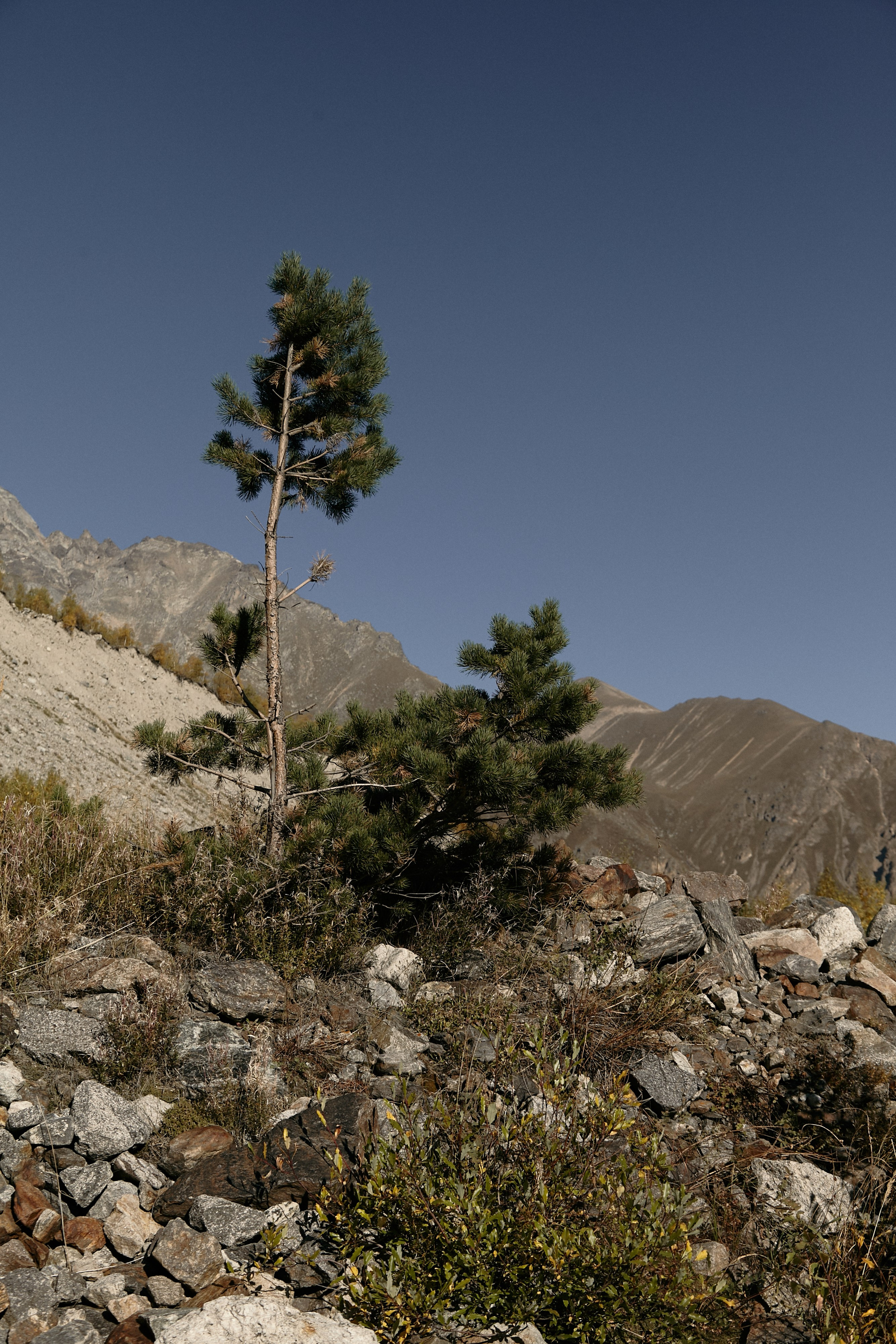Чегем, дорога к леднику Шаурту. Фотограф Продюсер в горах КБР / Москва  Нальчик Горы