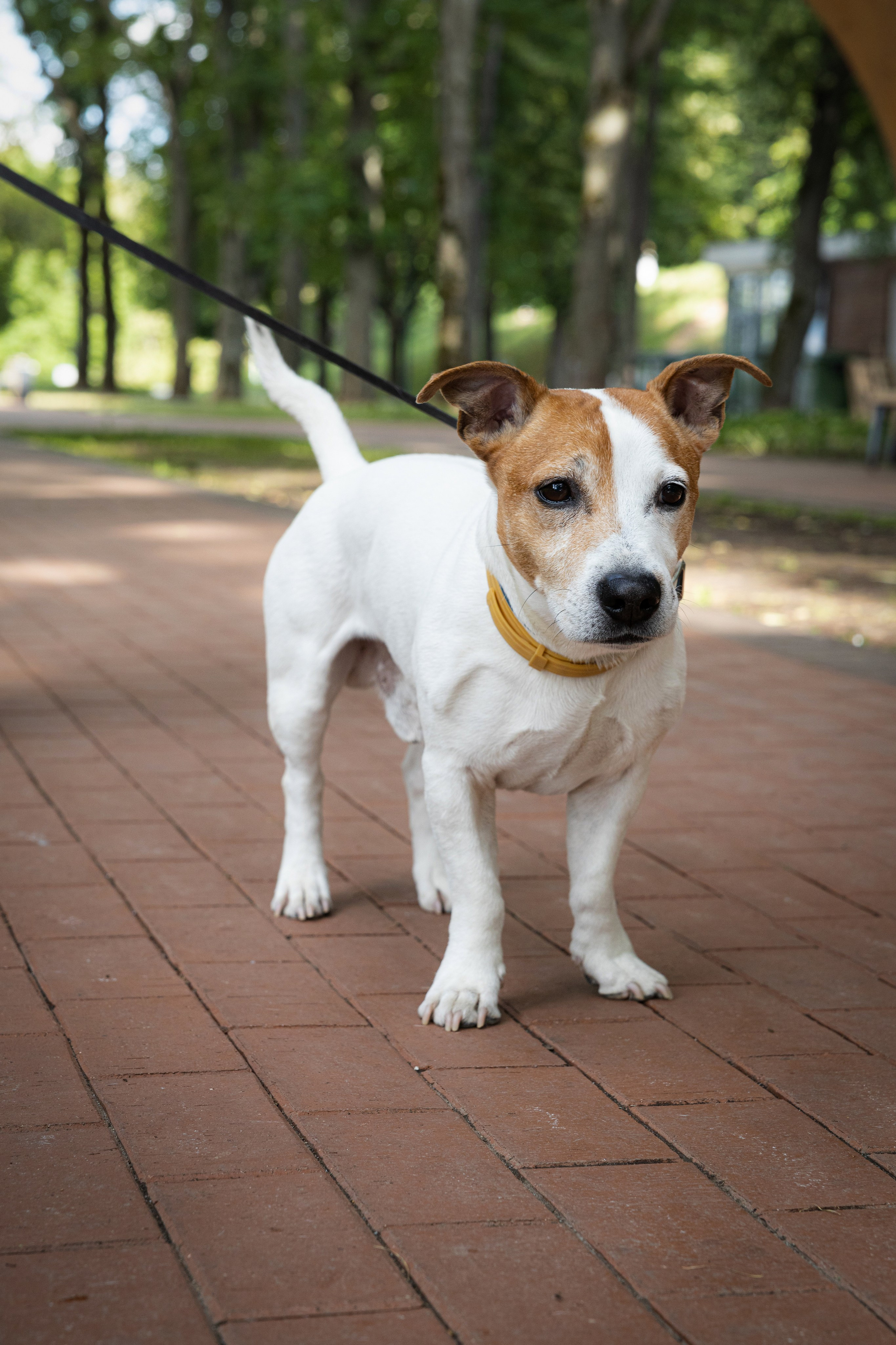 Прогулочная фотосессия в городской среде. Фотограф Лабутина Александра. Портретный и репортажный фотограф из Нижнего Новгорода Александра Лабутина