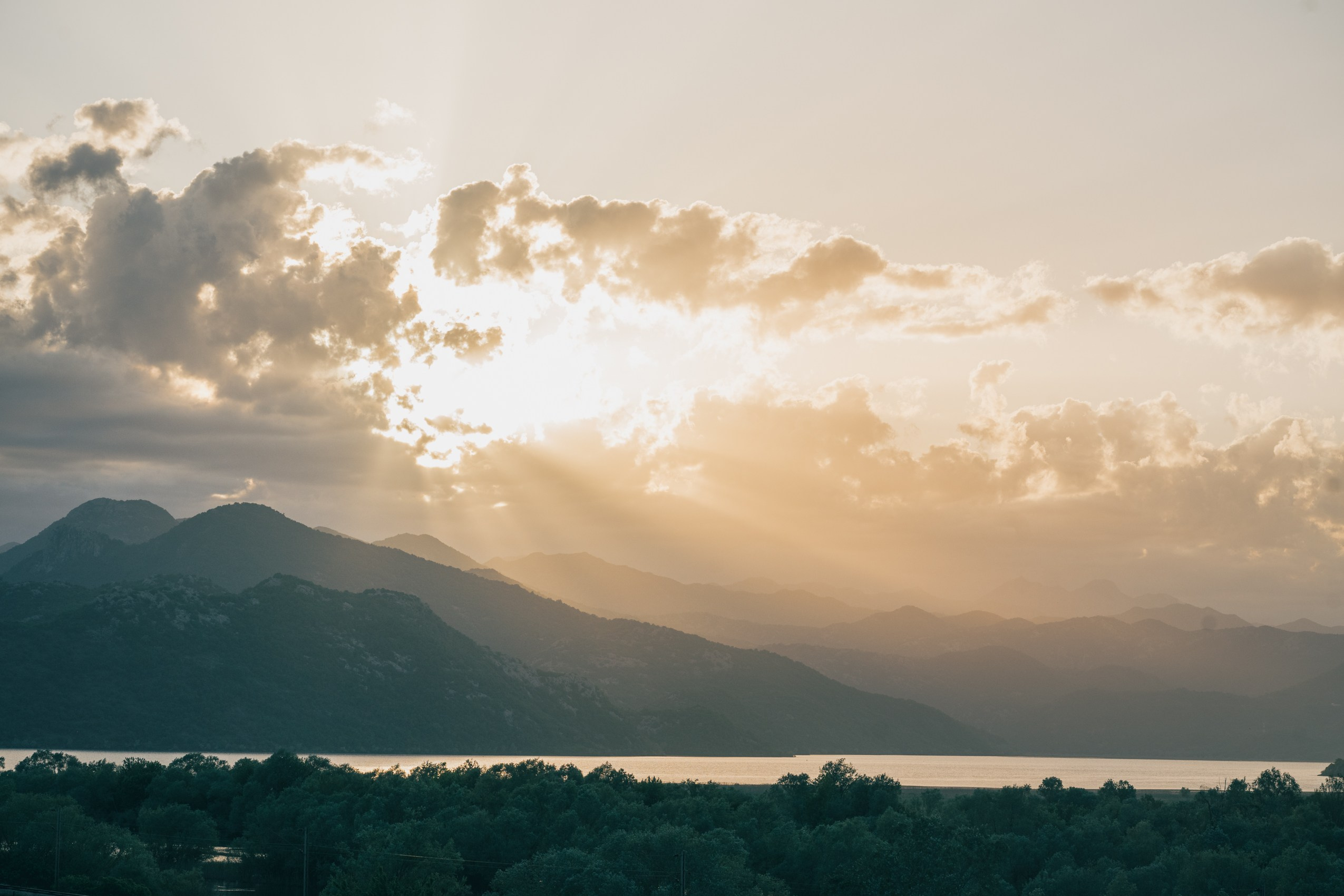 СКАДАРСКОЕ ОЗЕРО. ЧЕРНОГОРИЯ. Фотограф в Белграде Чугреева Елена