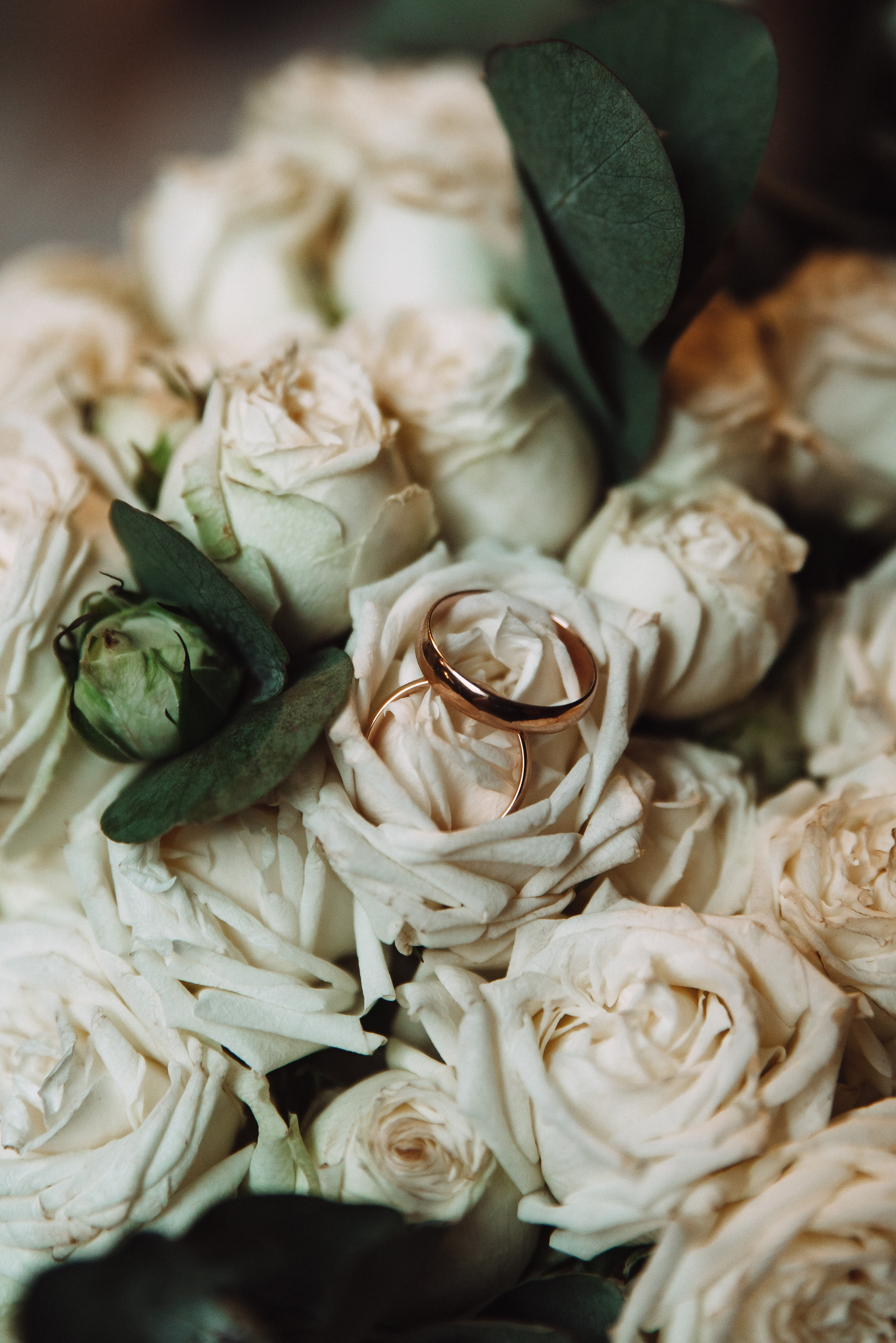 Никита + Кристина. Свадебный и семейный фотограф в Волгограде Олеся Лисицкая