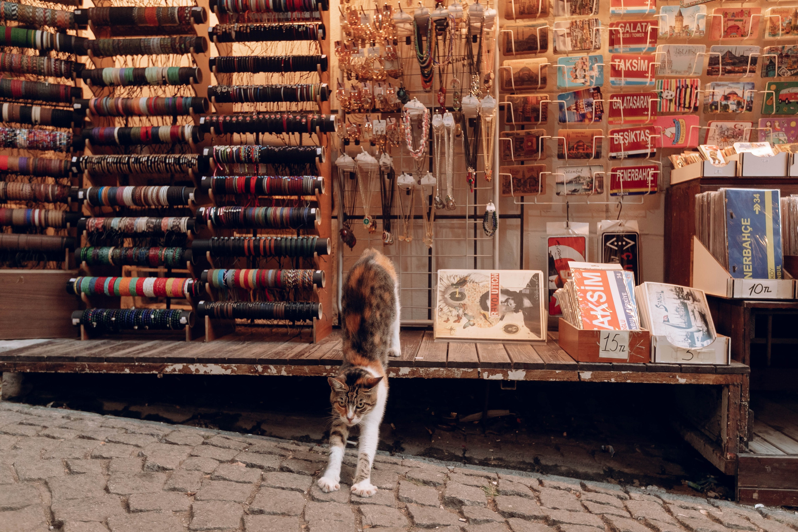 Istanbul. Katerina Spekhova