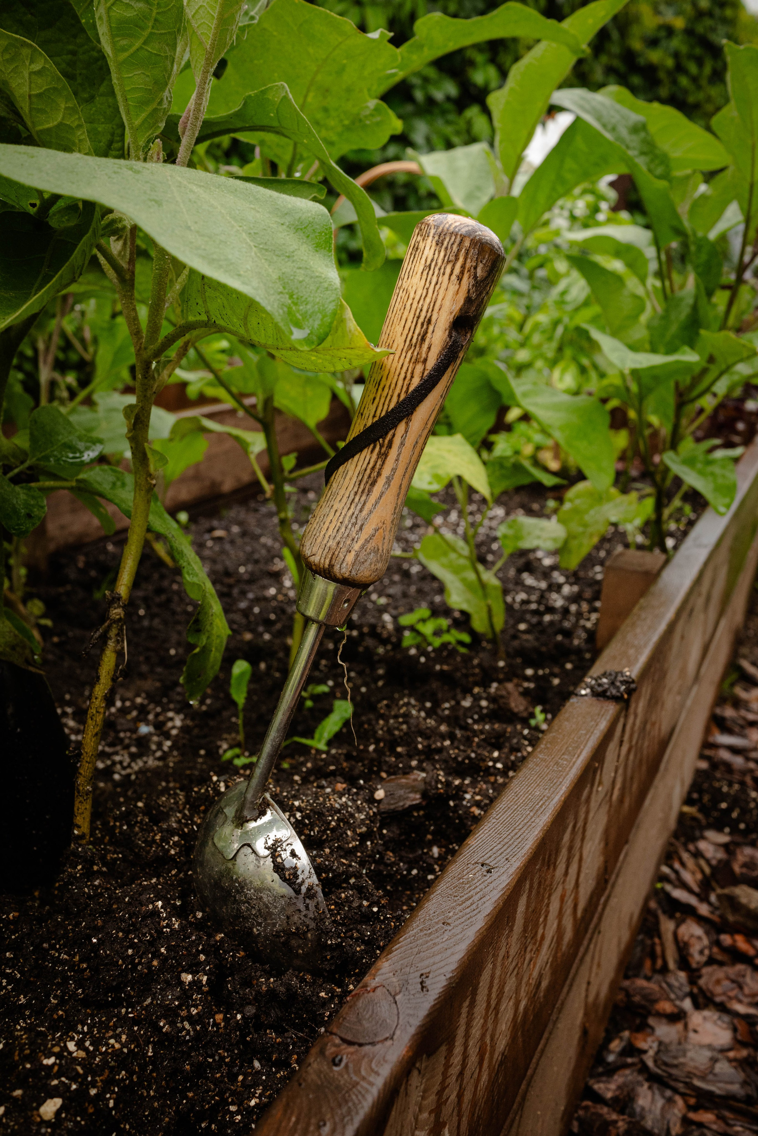 Лесное царство Оксаны. Свадебный и семейный фотограф в Новосибирске, Санкт-Петербурге, Москве