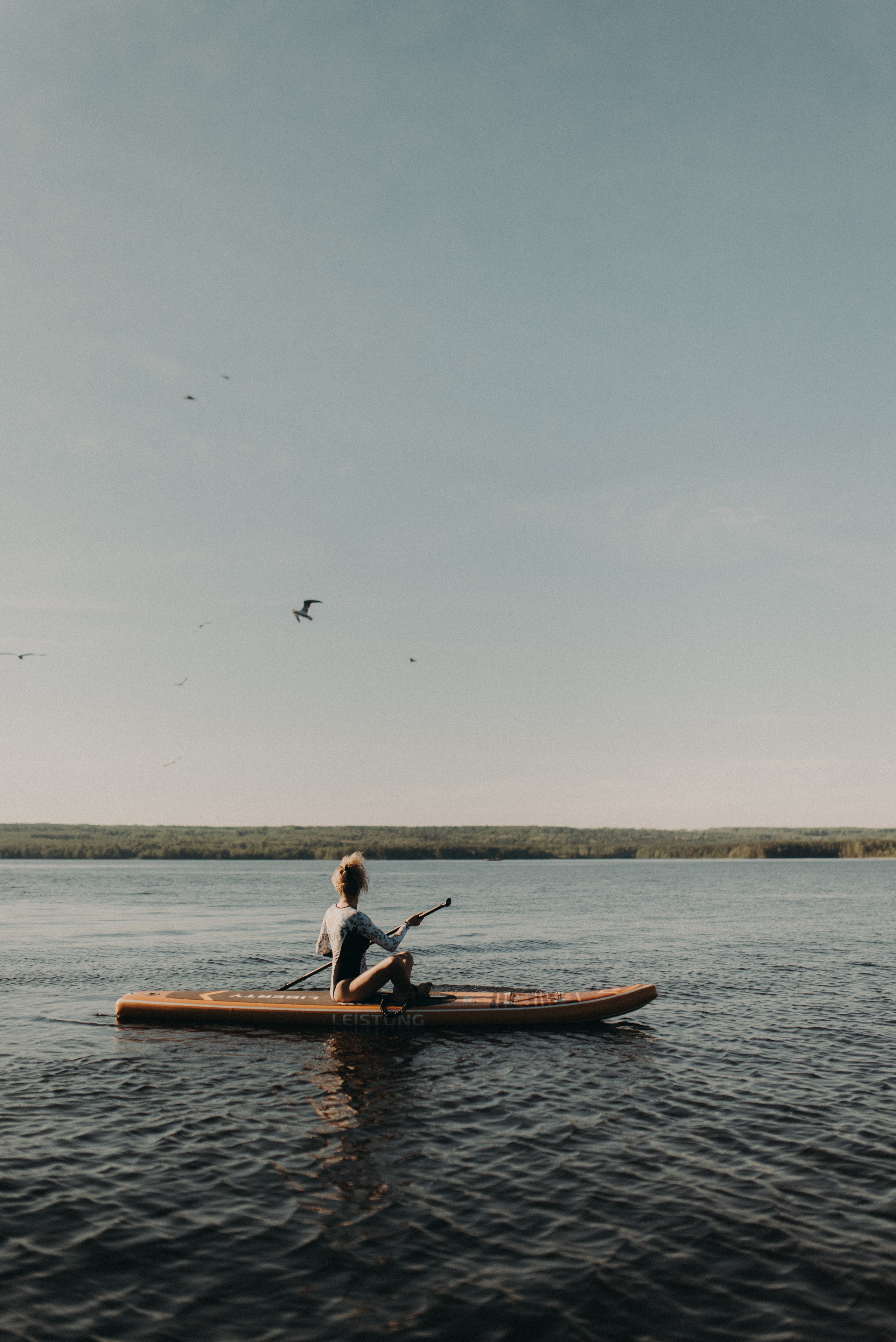 Шалаш среди леса. Главная