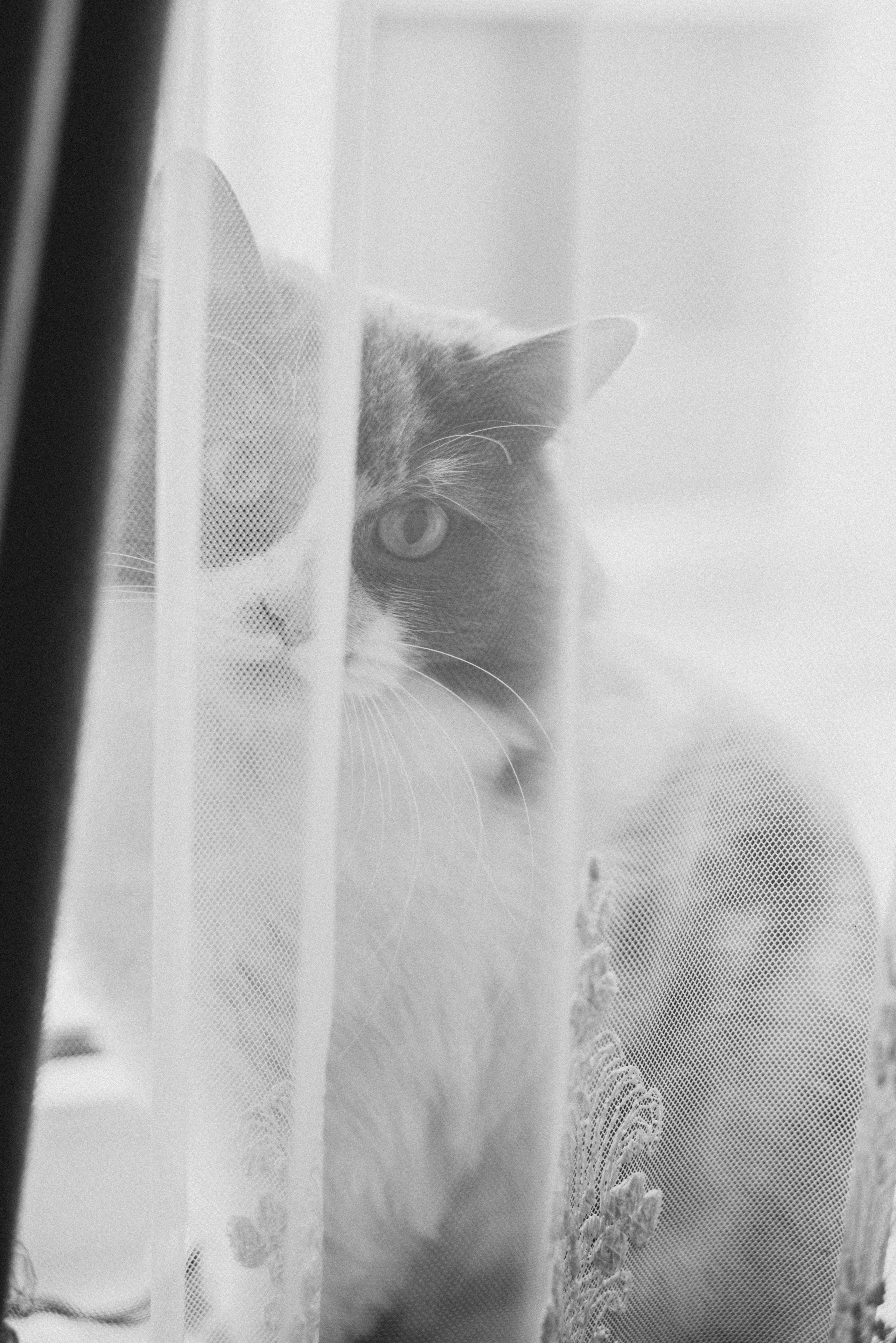 Лидия с семьей. Фотограф в Сочи — Маргарита Поганова