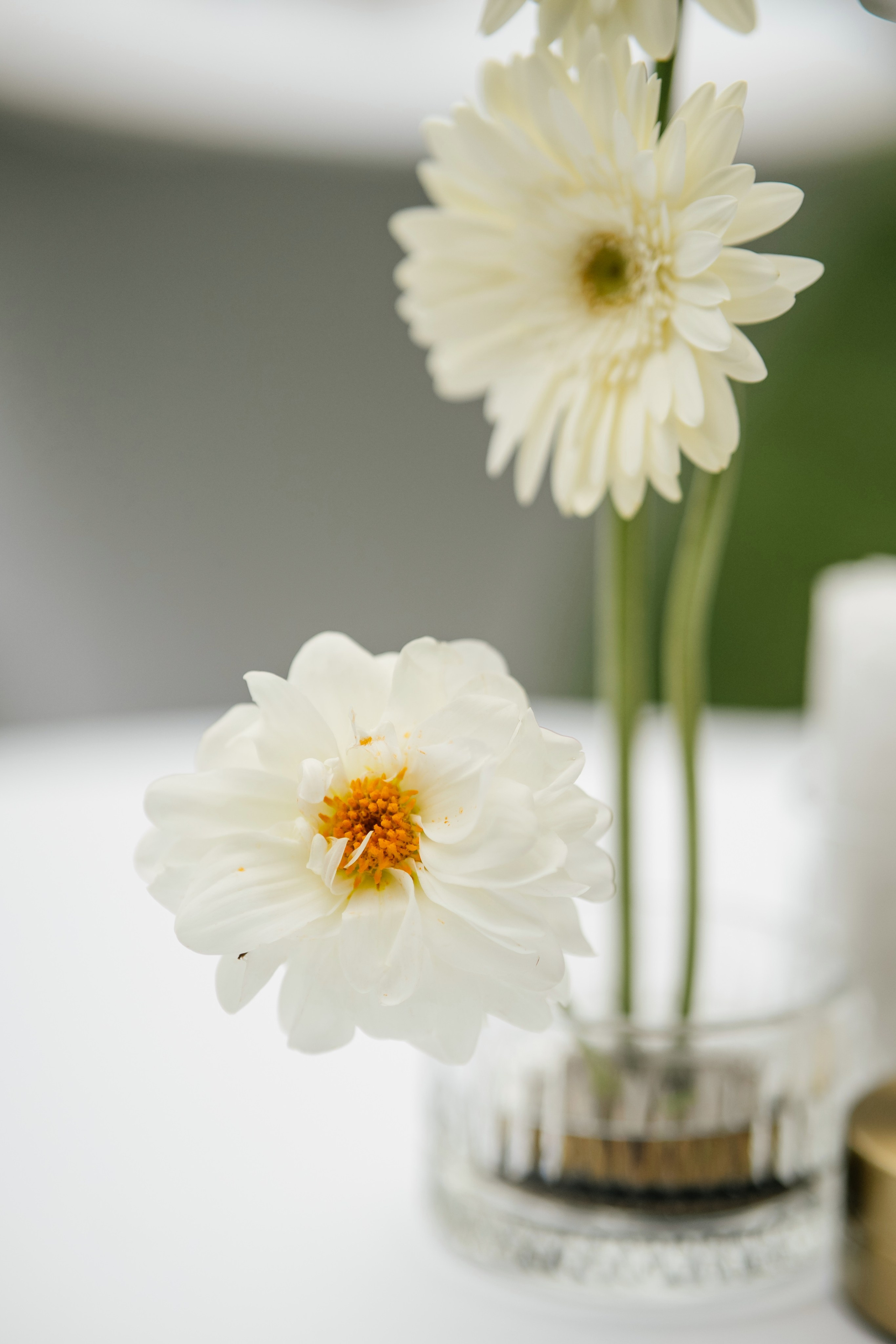 ФОТОГРАФ и ВИДЕОГРАФ