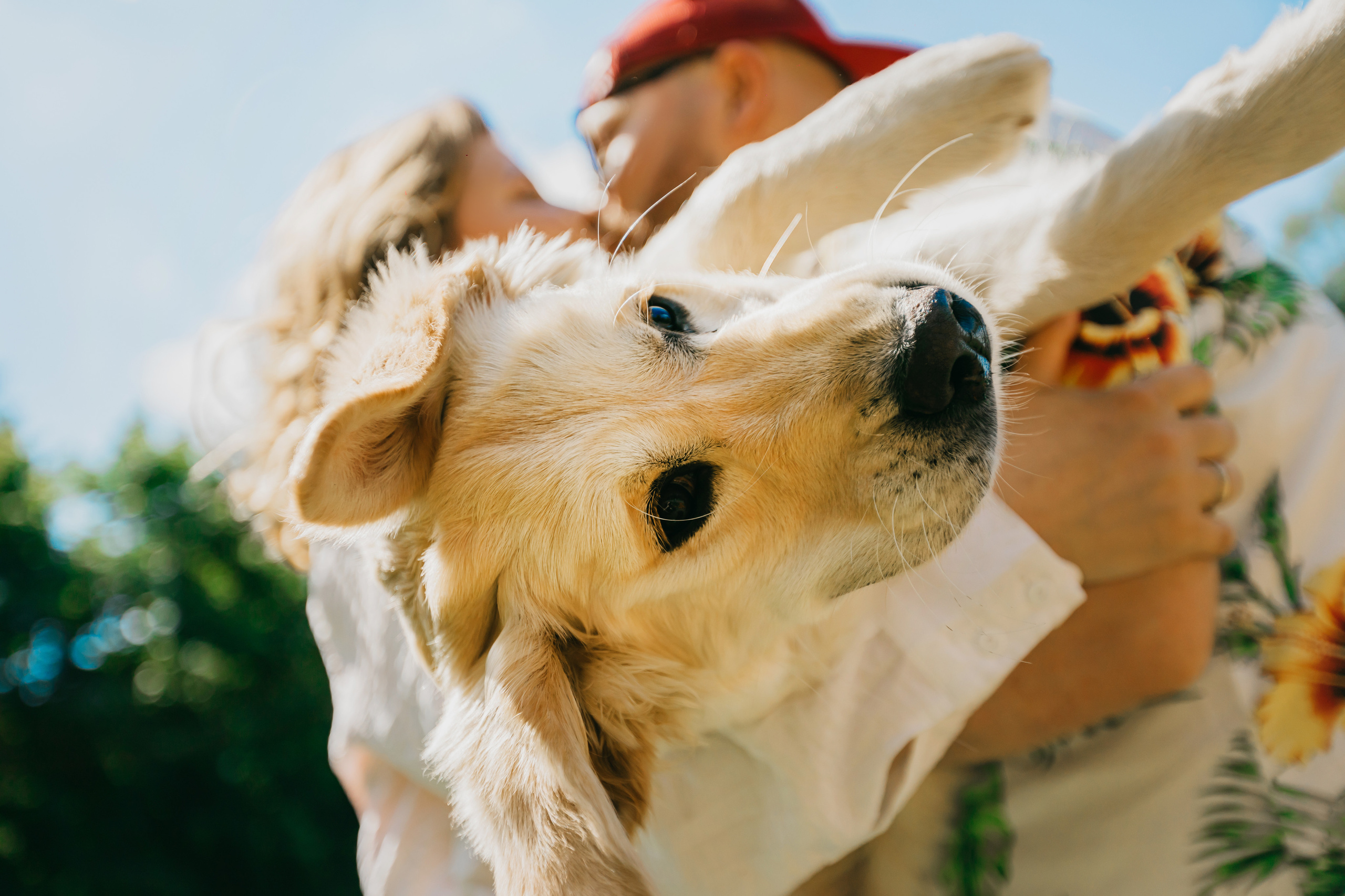 Ваша LoveStory в самых необычных местах. Krumstudio фото, видео по Москве и МО