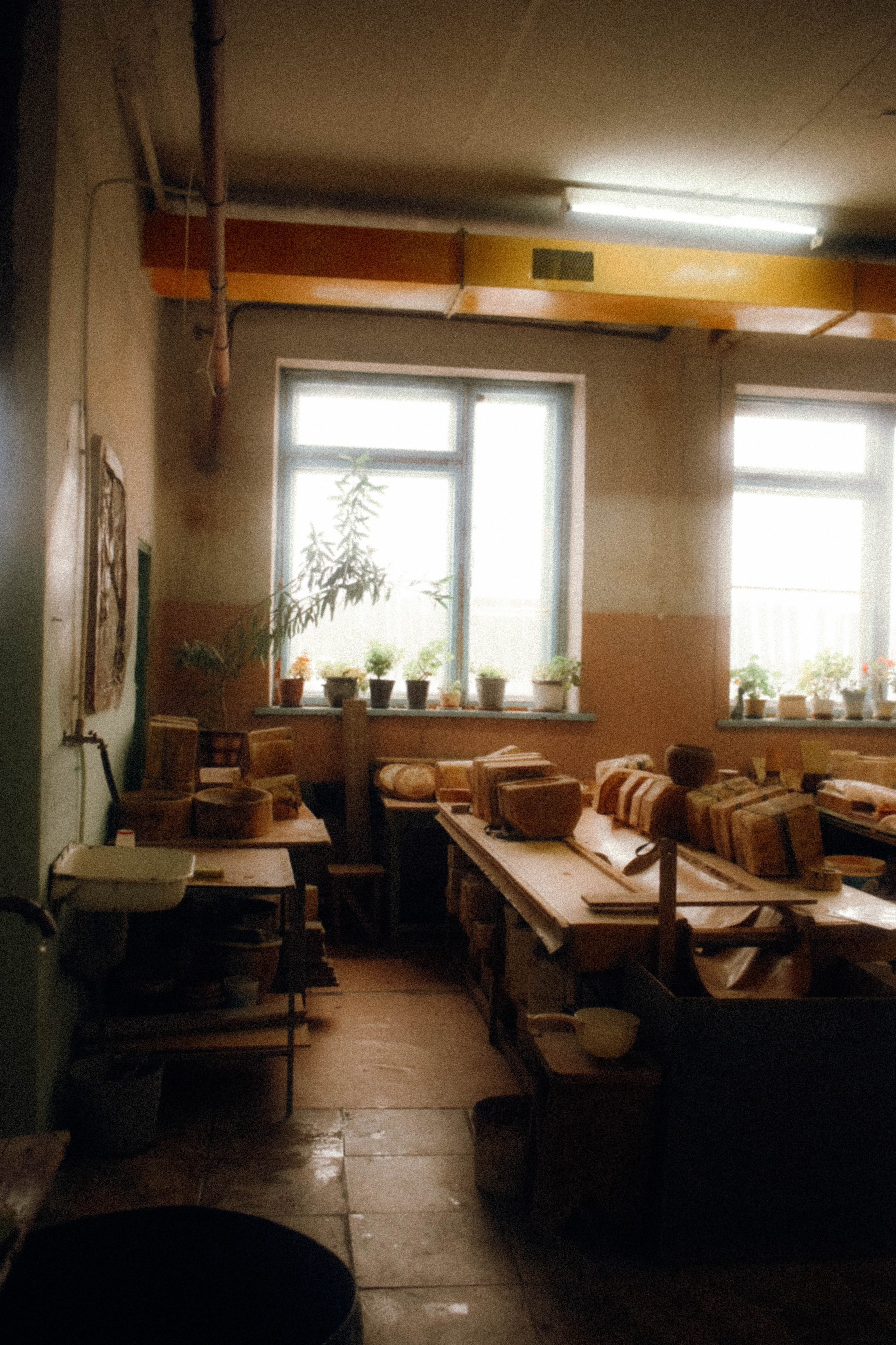 Мероприятия. Соня Мнема