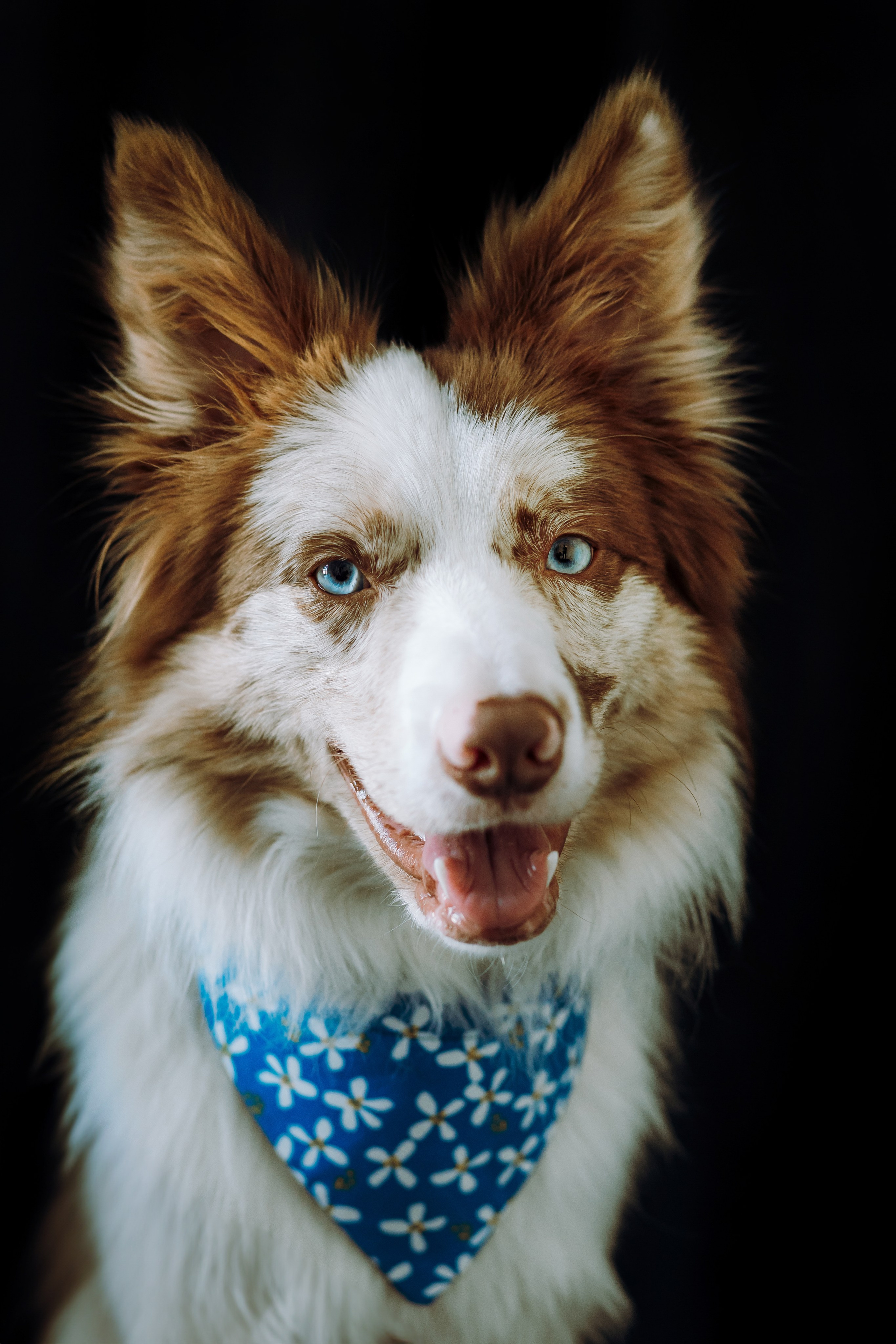 День рождения Айко