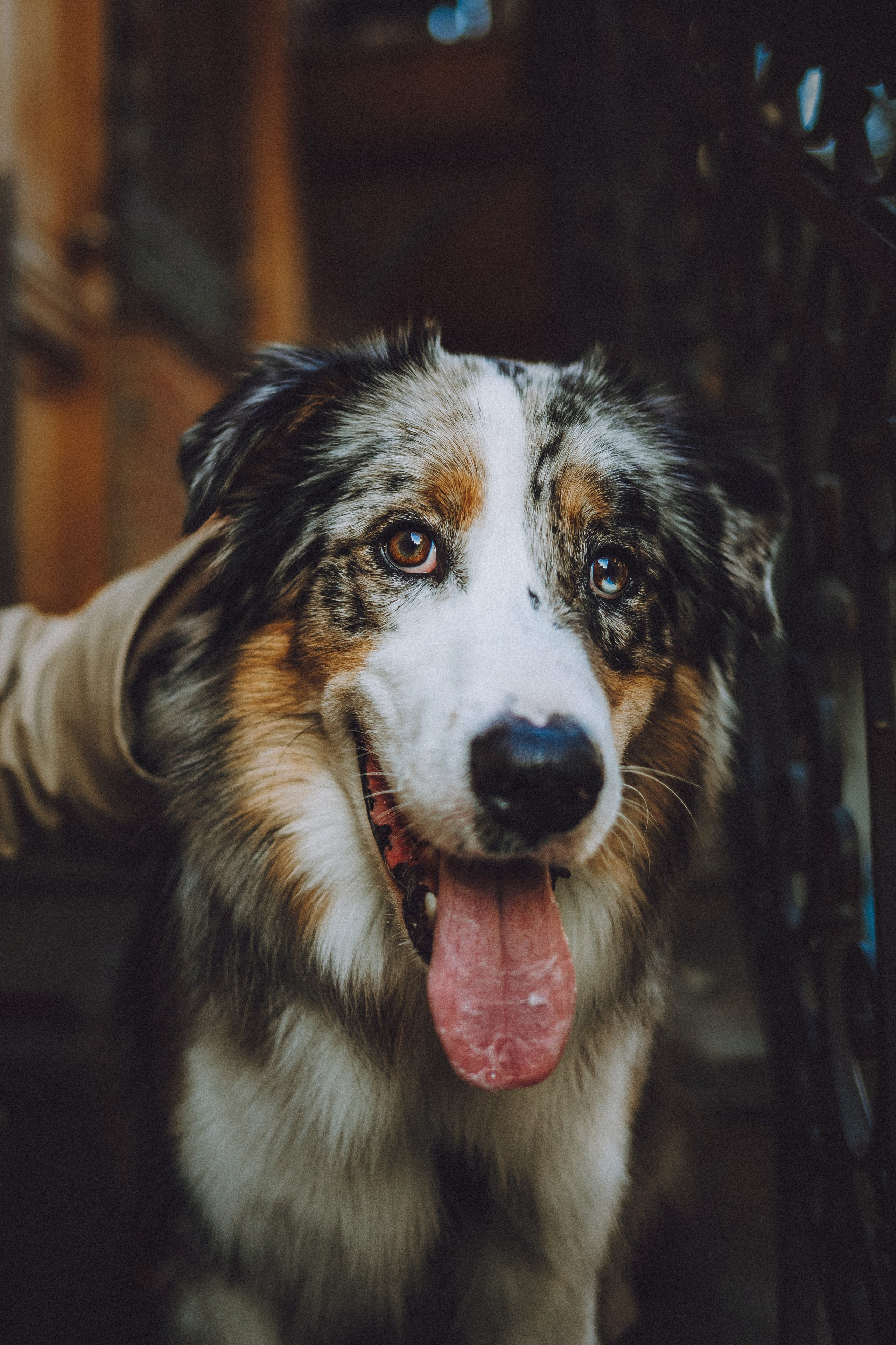 Саша, Рома и Один