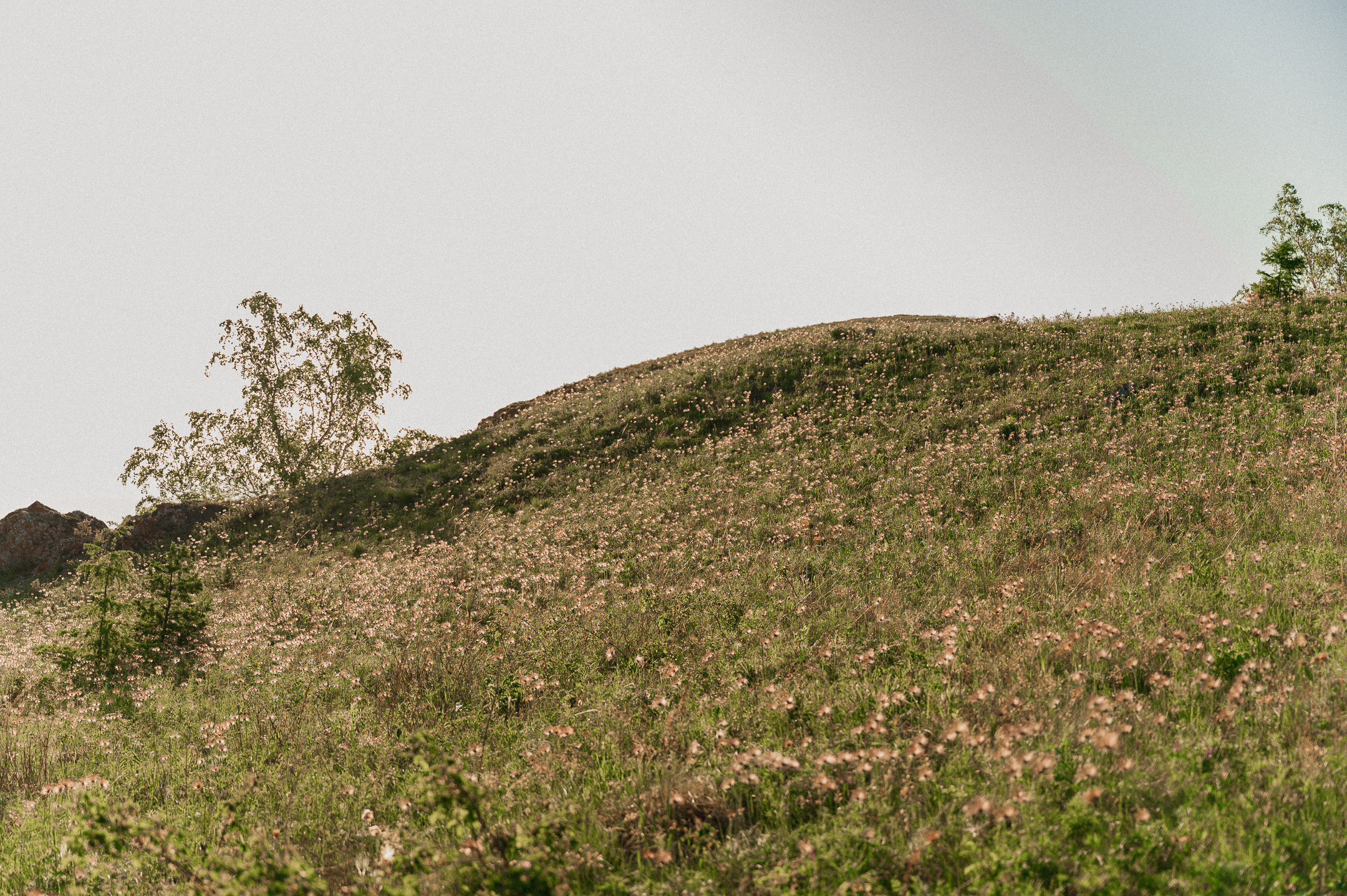 Анастасия и Денис. Свадебный семейный фотограф в Батуми Павел Мишарин