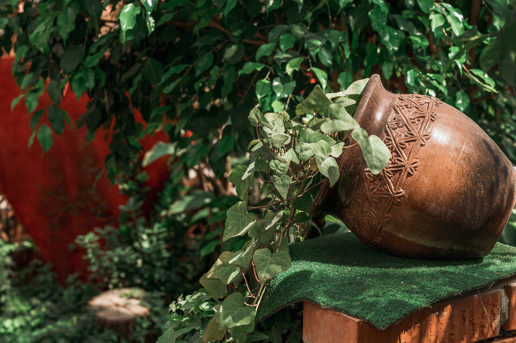 Ярослава и Георгий. Свадебный семейный фотограф в Батуми Павел Мишарин