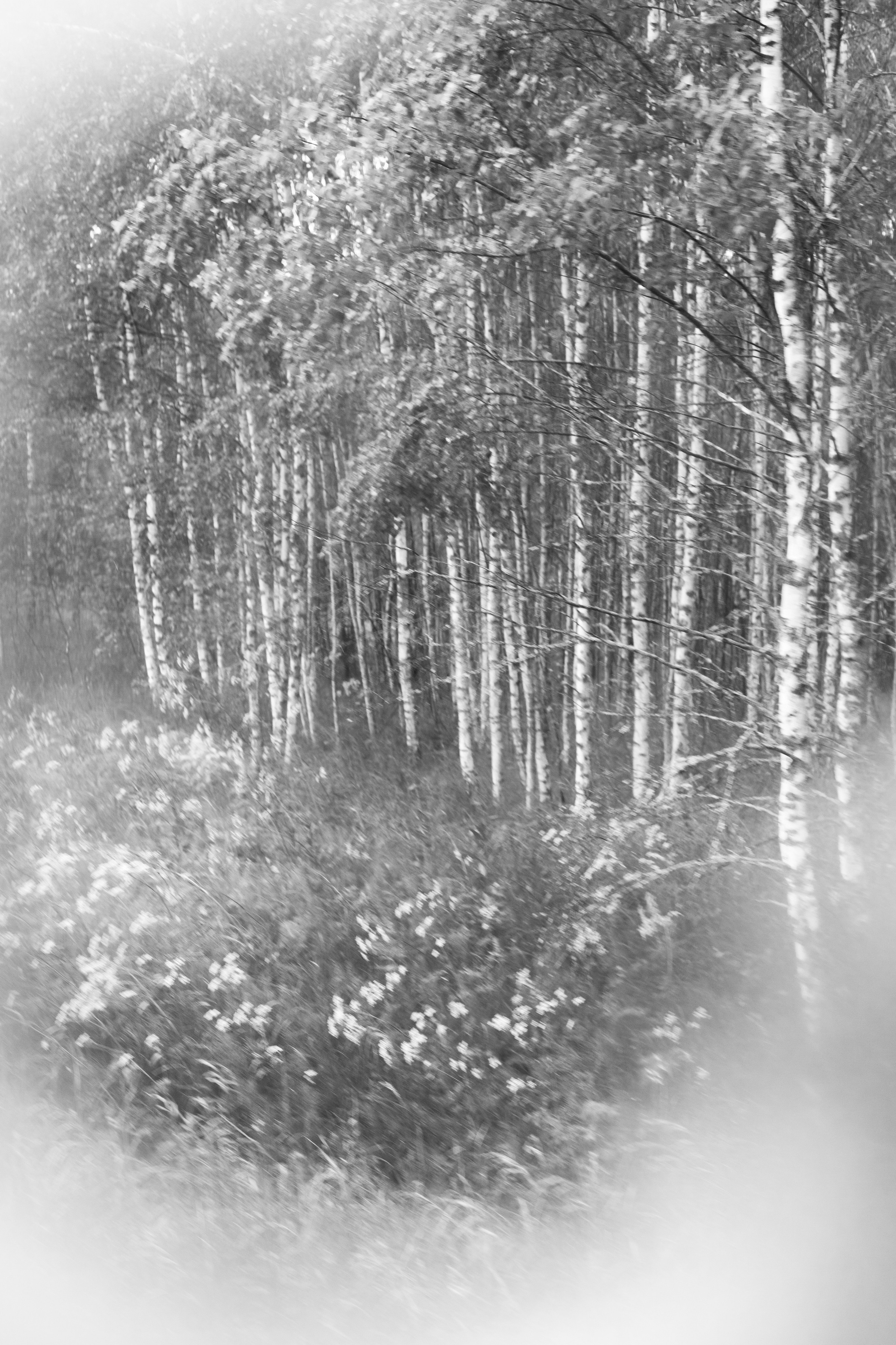 Кимрские исторические тракты: Ильинское кольцо 2026. Профессиональный фотограф, фотохудожник, видеограф из Москвы