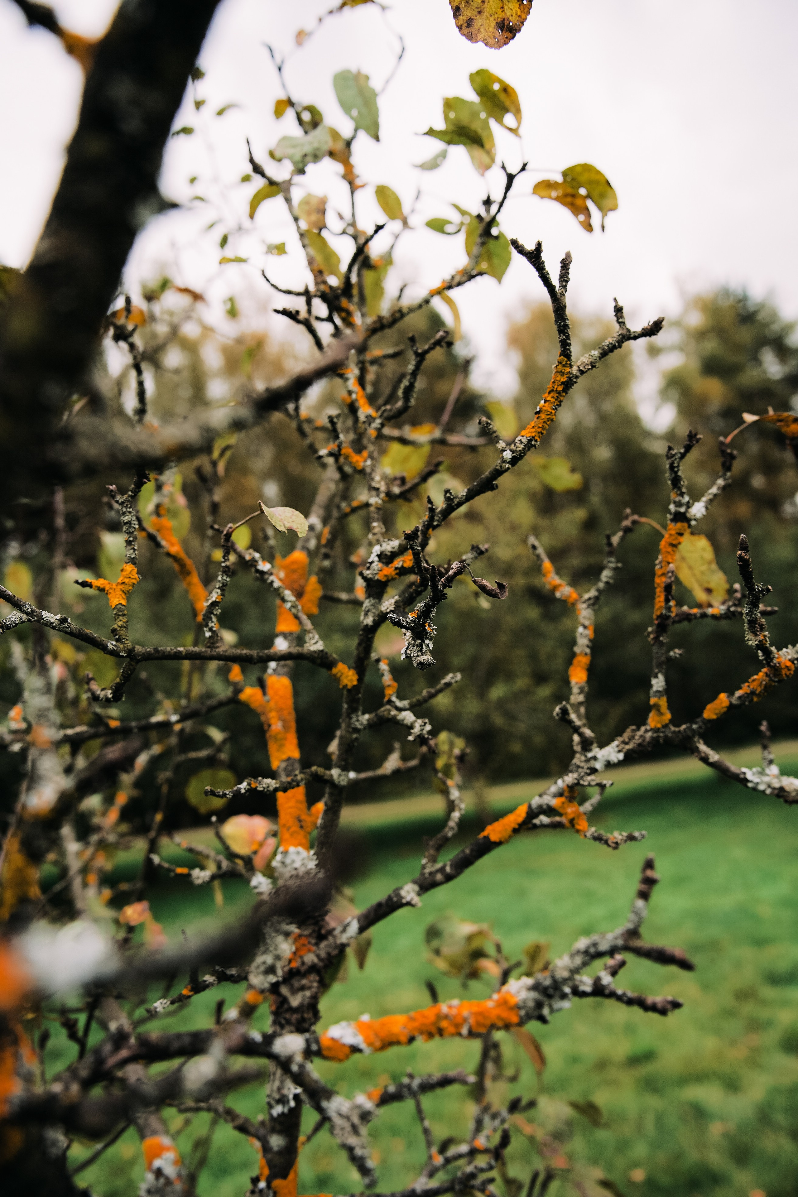 Осень 2025. Фотограф из Москвы — DASHA NOVA | Авторская фотография в разных жанрах