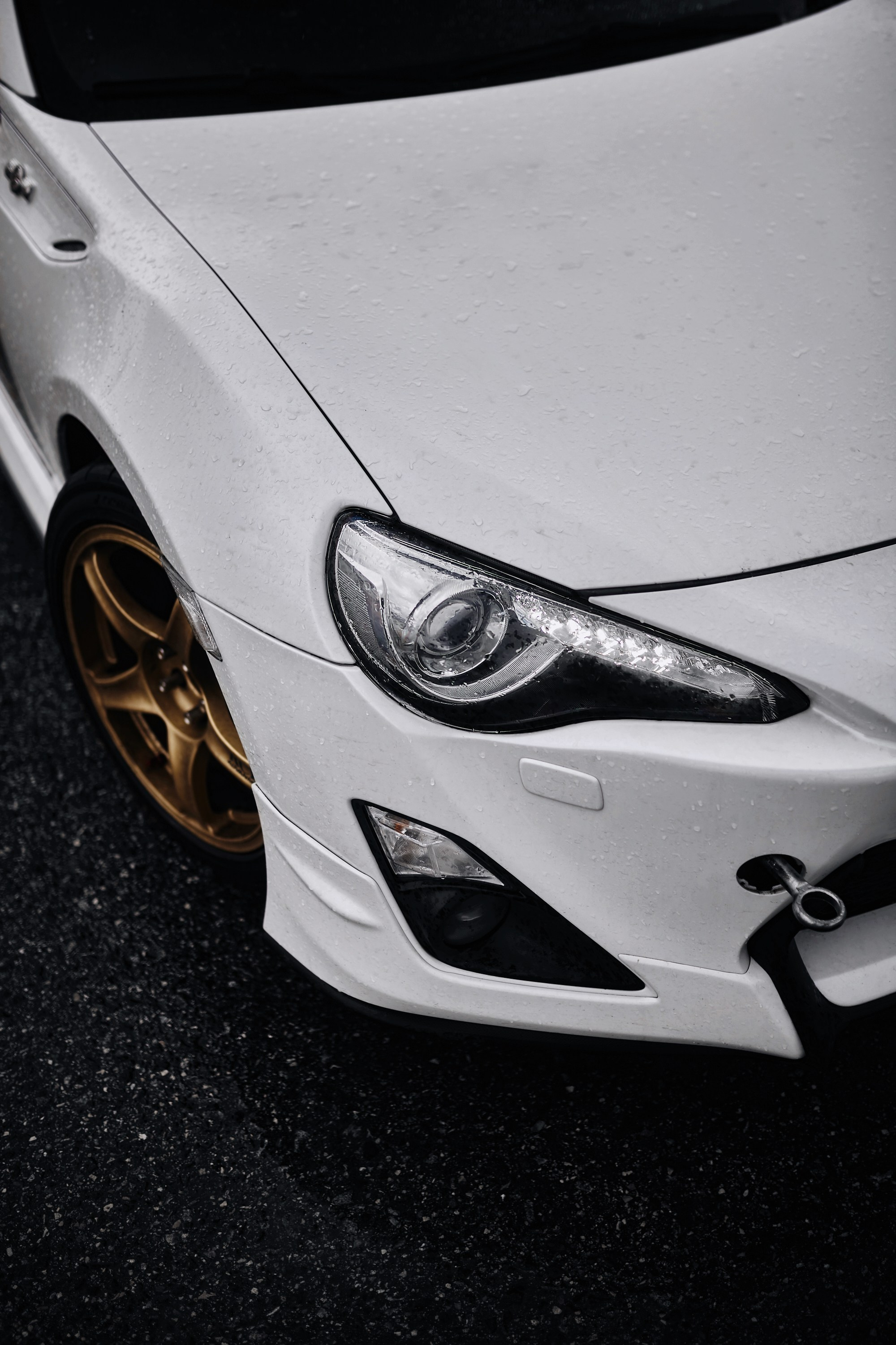 Nring Circuit. DKARPOCHEVA PHOTOGRAPHY