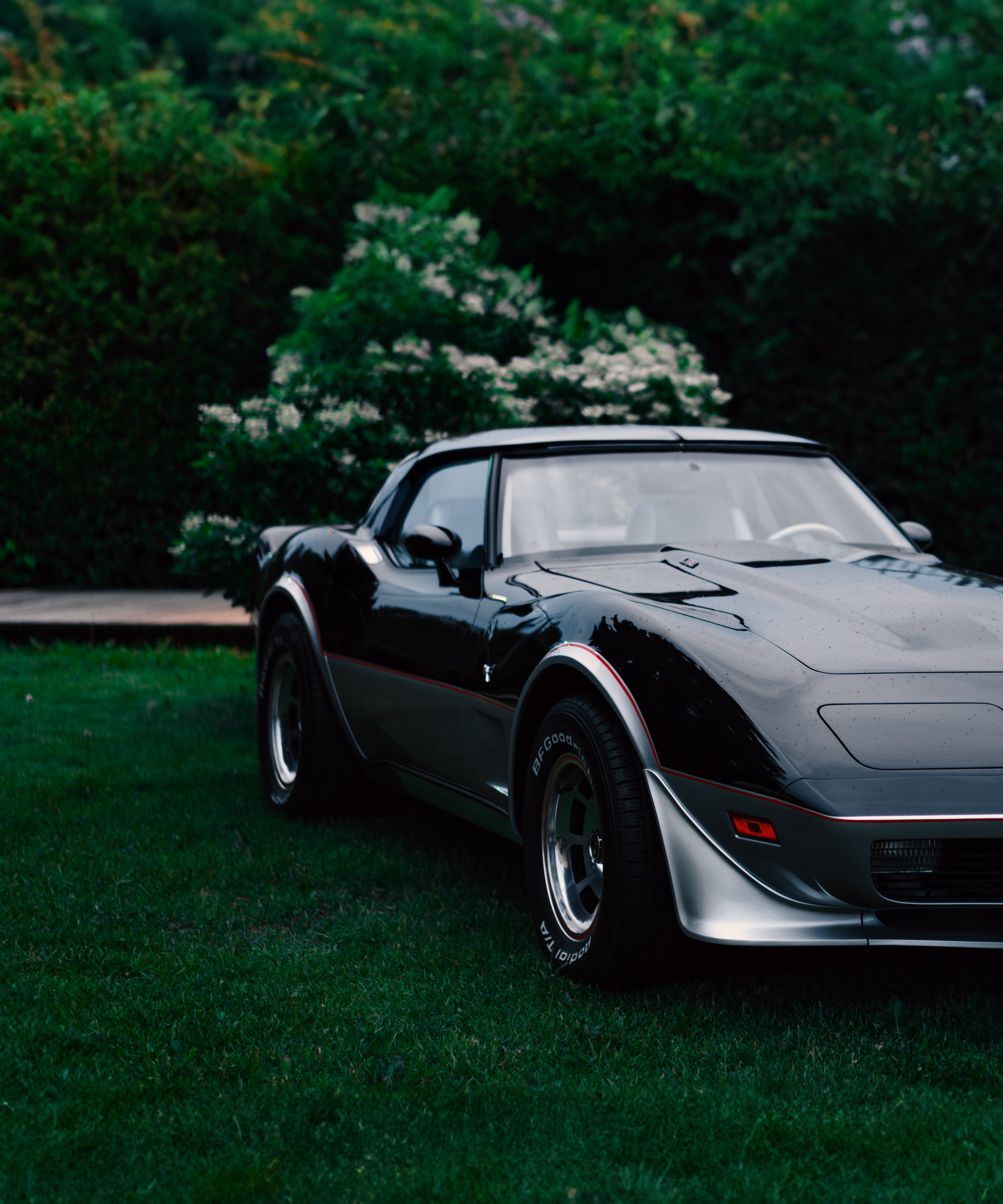 Autoculture. Muzeon Park