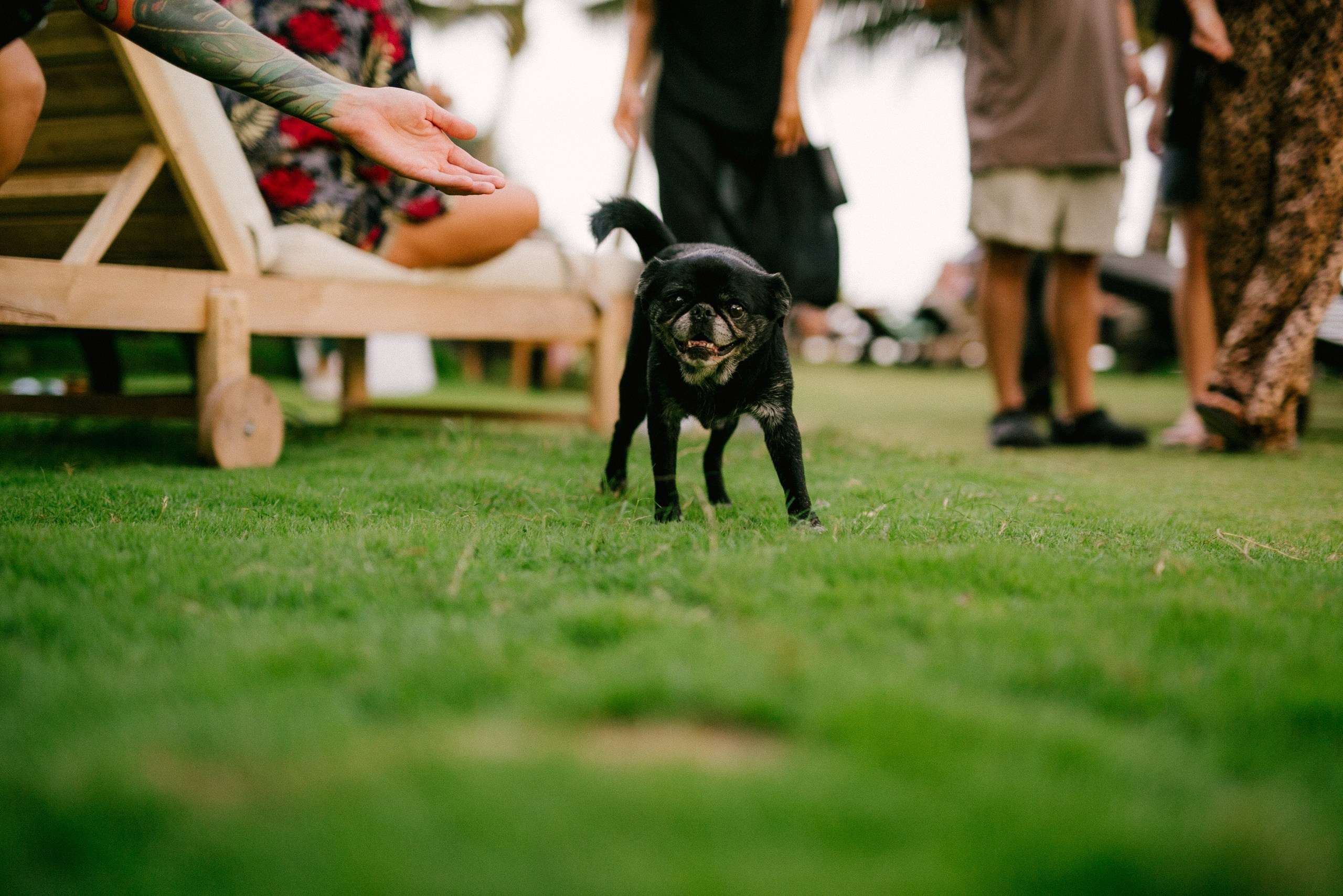 Good Story X PowerHouse. Wedding photographers Tbilisi Georgia Alex and Polly