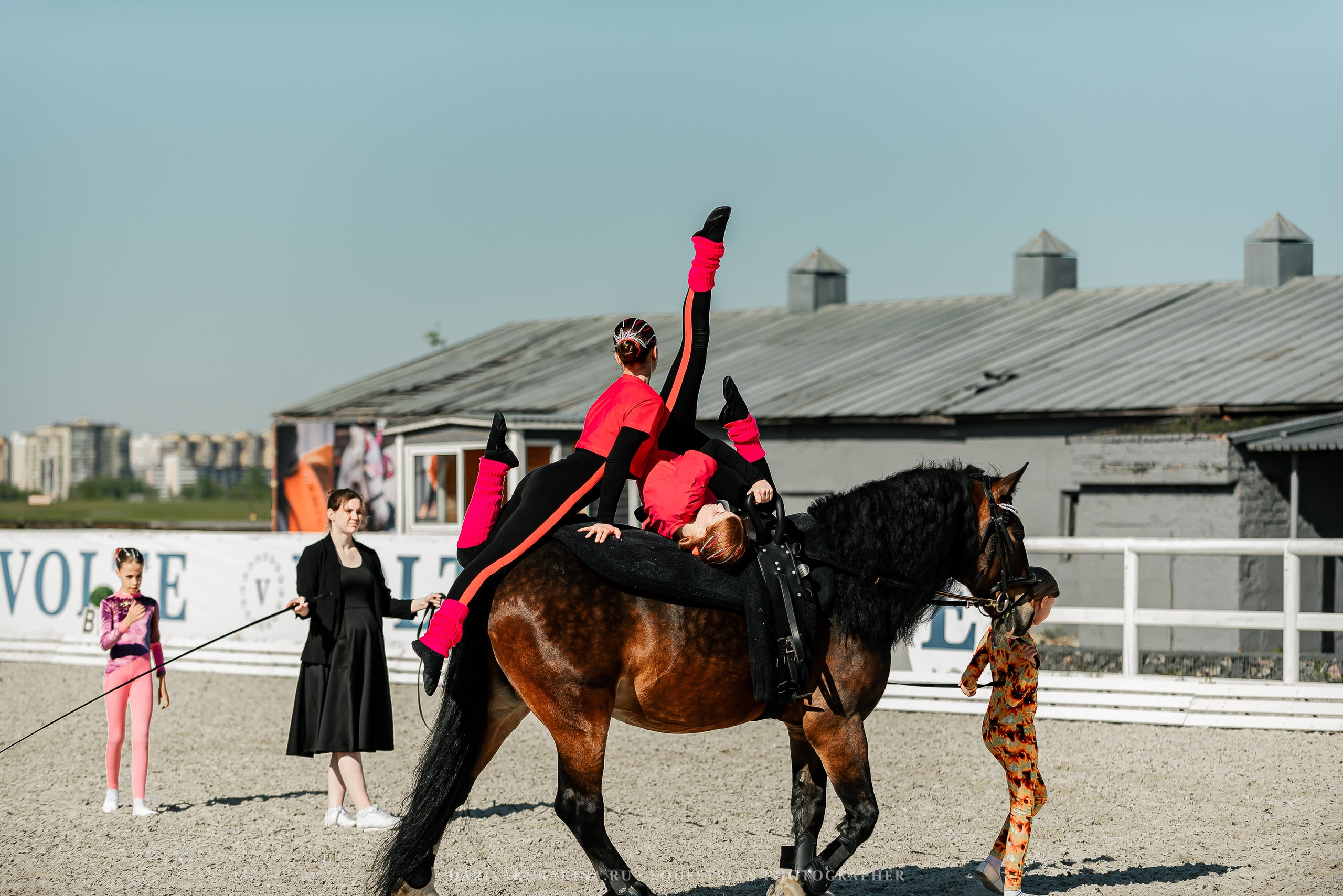 РЕПОРТАЖ МКК ВОЛЬТ «LA TULIPS». Конный фотограф Куракина Дарья • Фотосессии с лошадьми