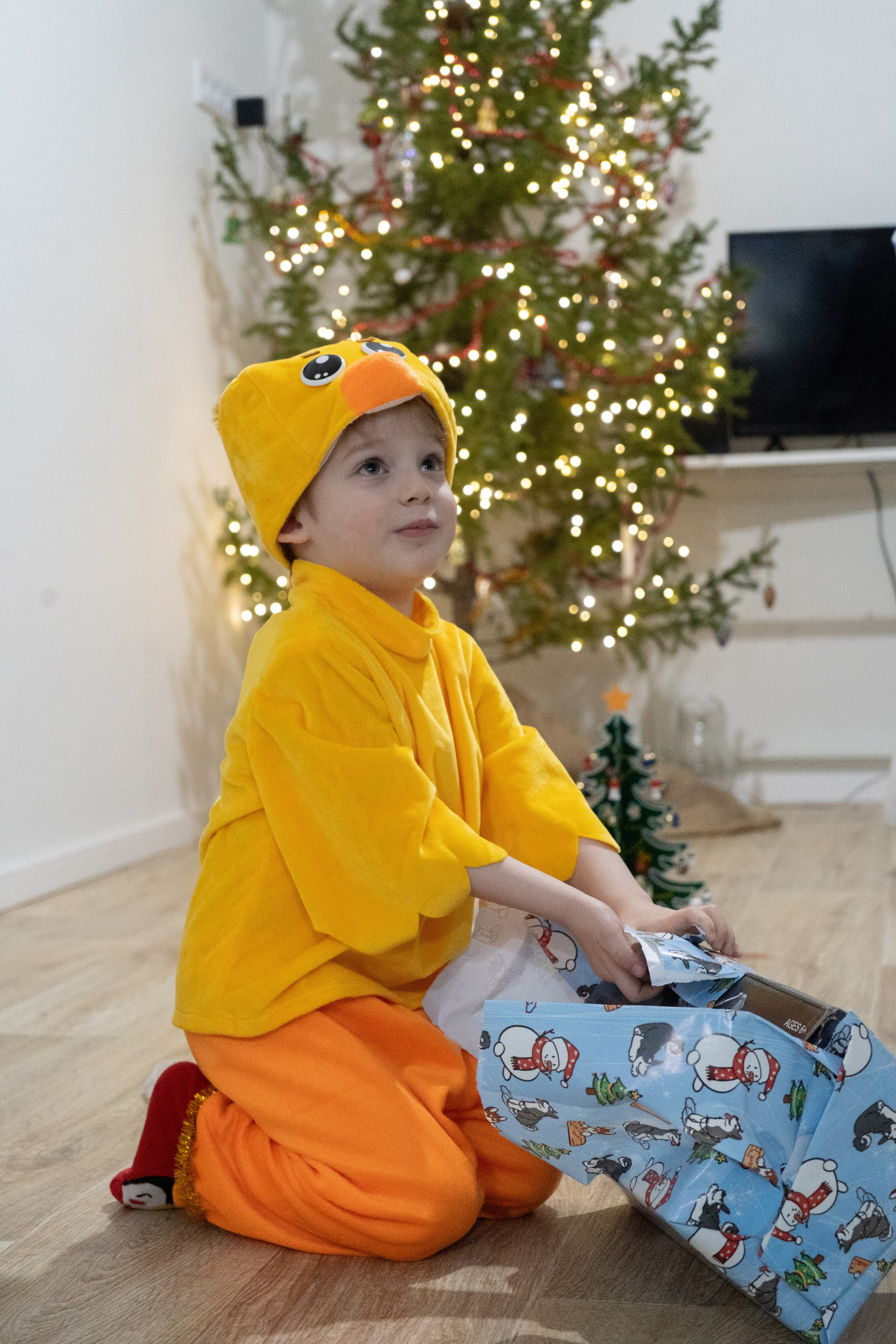 Новый год дома. Алена Коломоец | Фотограф, Мирный, Якутия