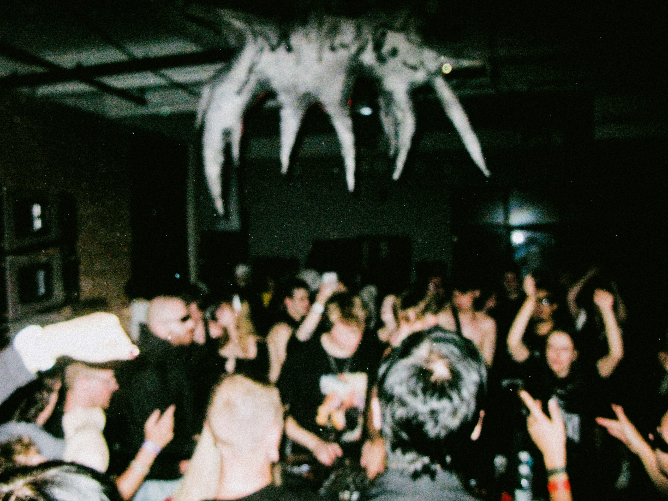 Kontrkult: last summer days. Shyjungle's Portfolio