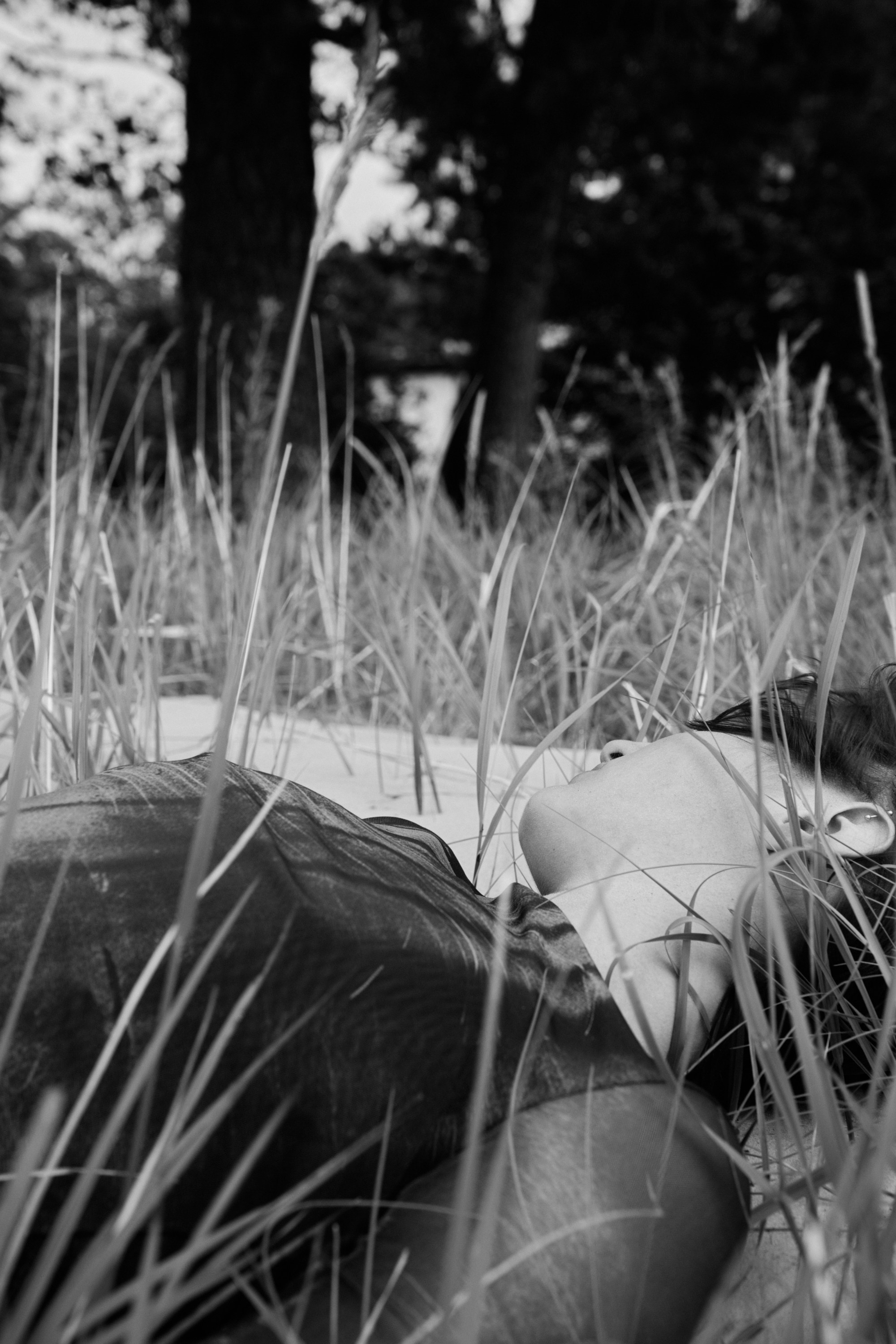 MARYANA. Shyjungle's Portfolio