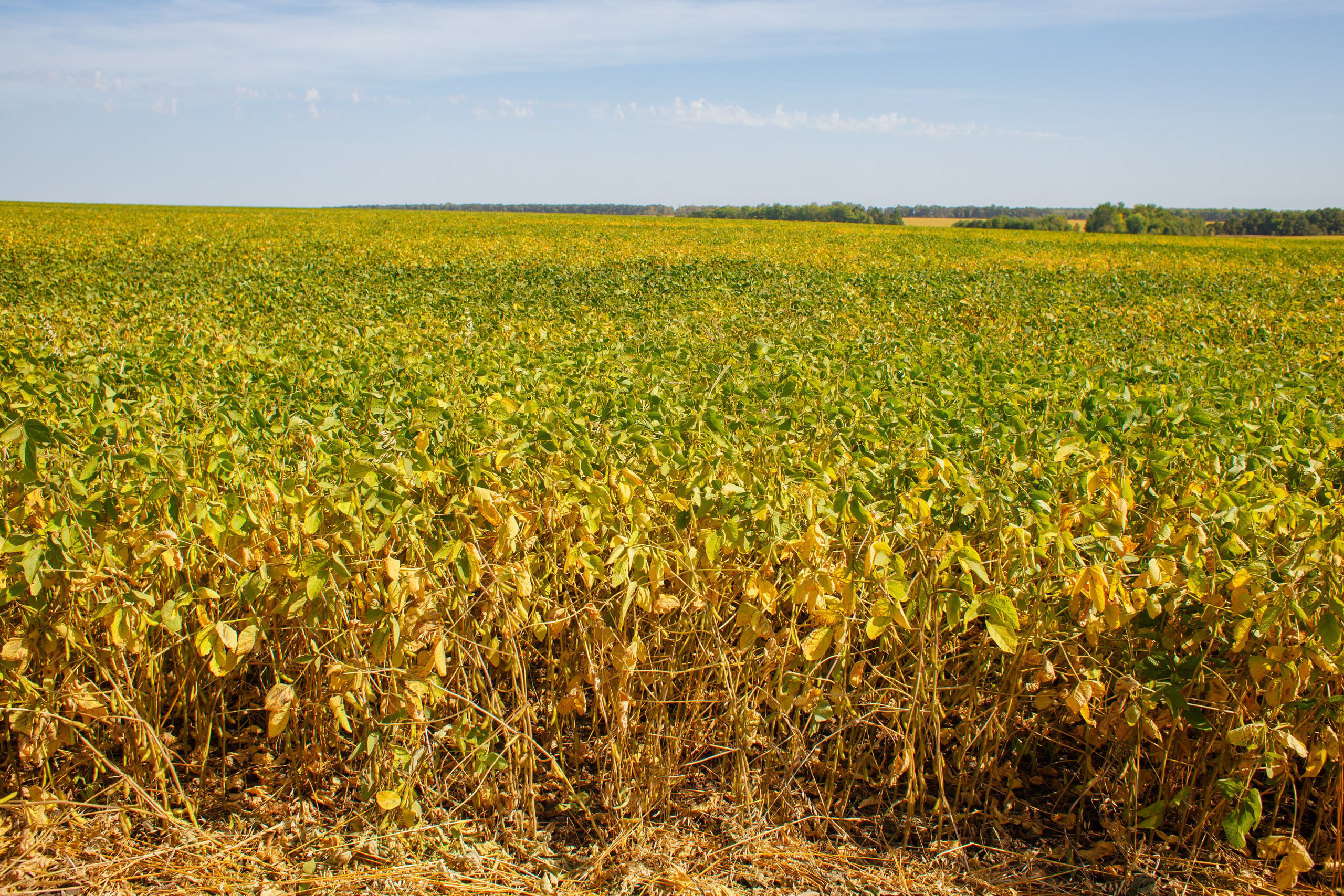 Агротерра. Фотограф Яков Поспехов