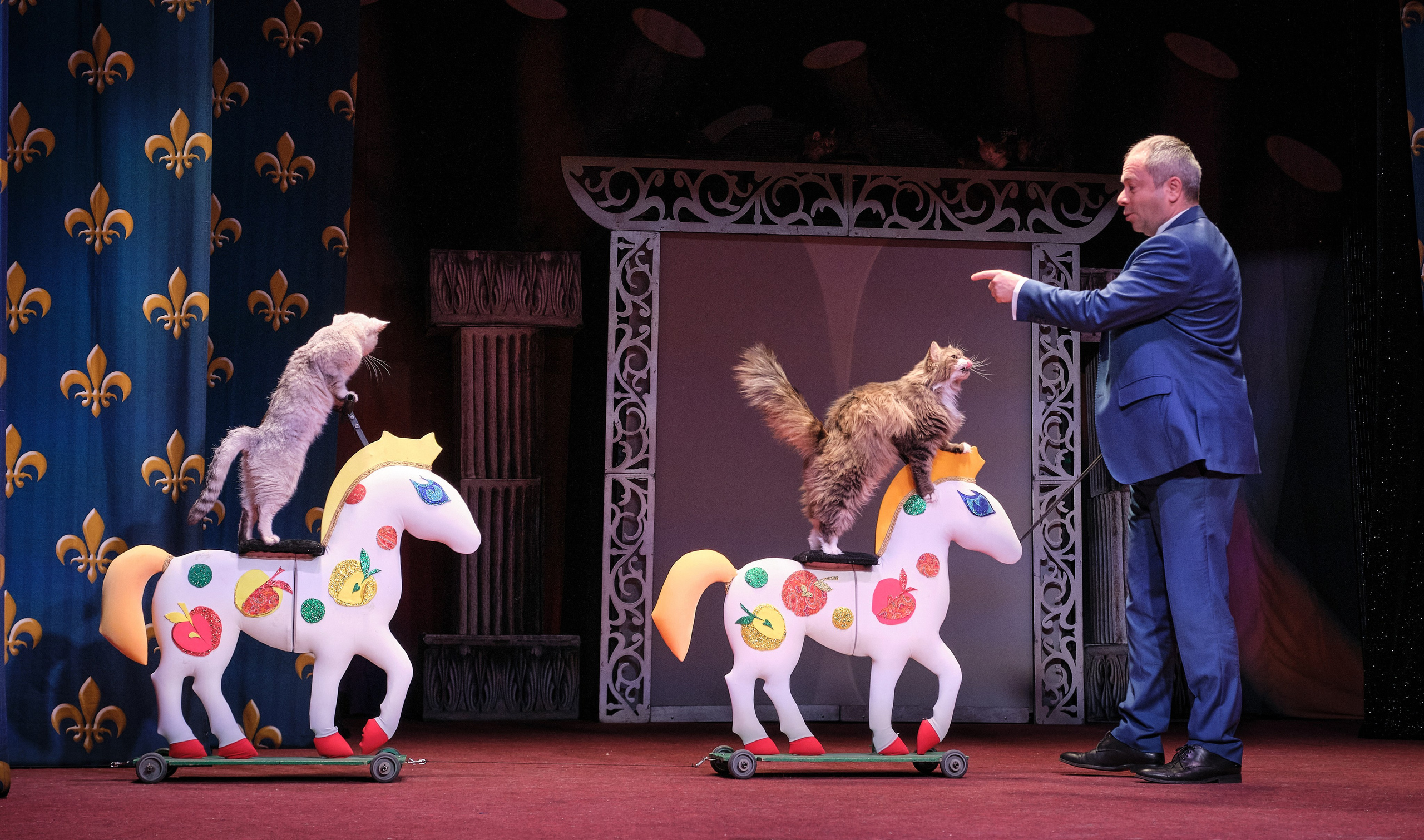 Пресс-конференция Ю.Куклачева в театре кошек