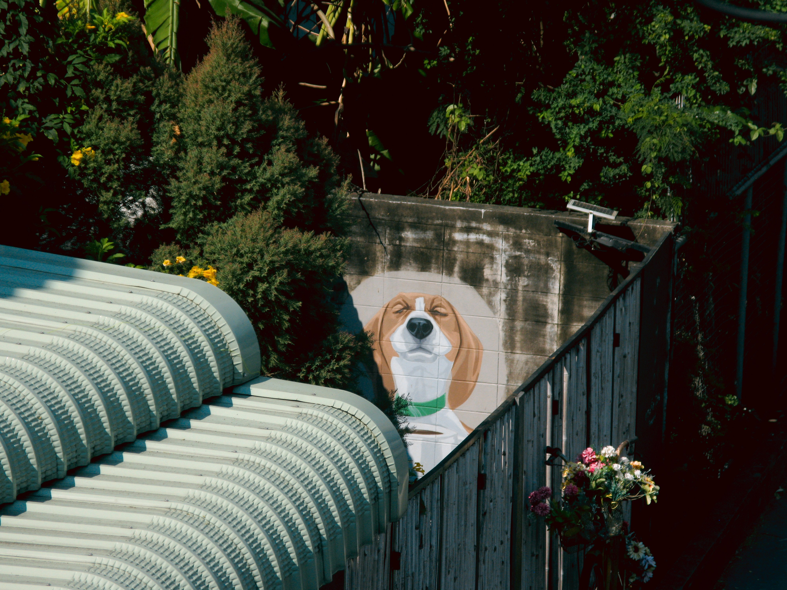 Thai. Фотограф Миланазавр