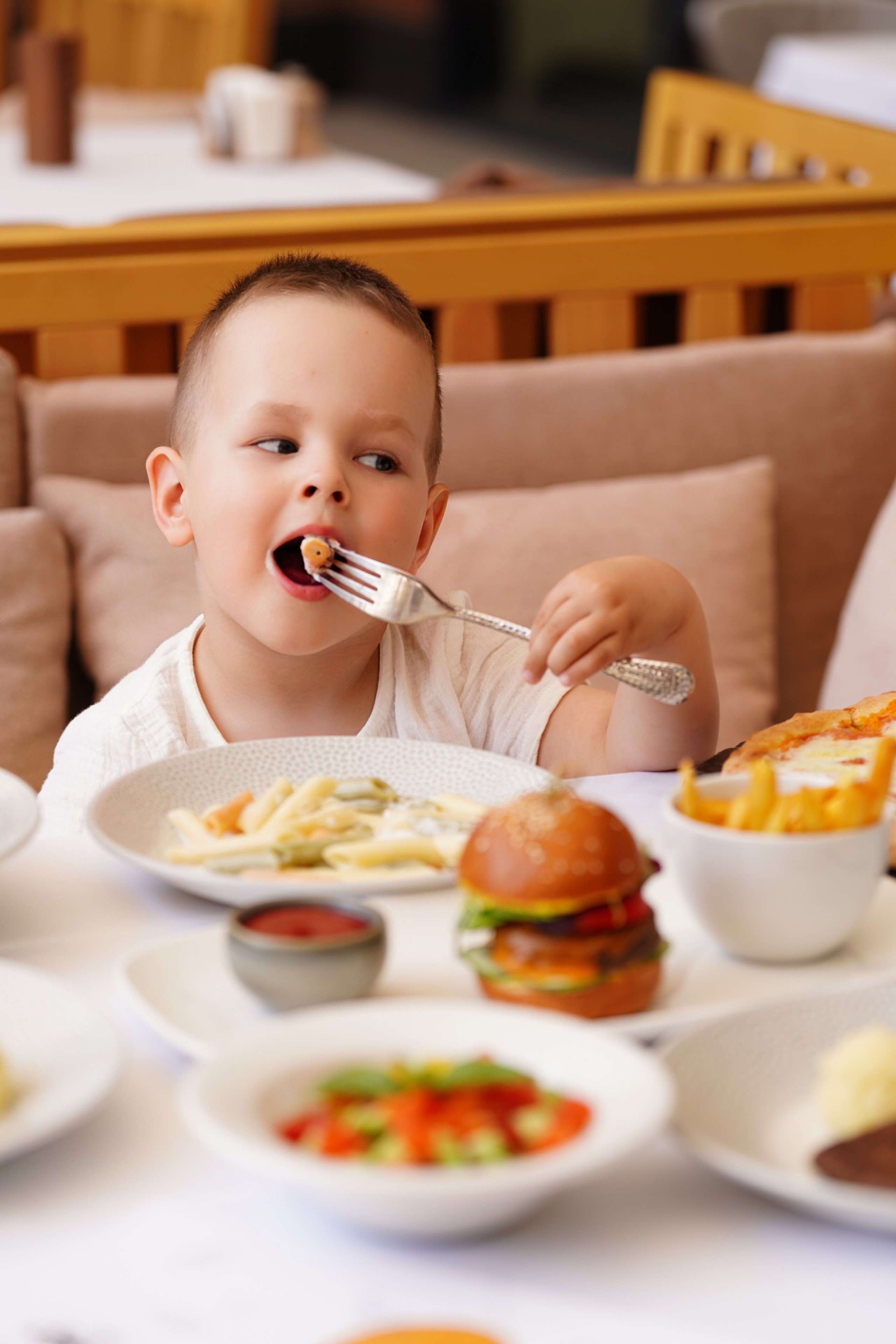 Marani. AMODEO STUDIO