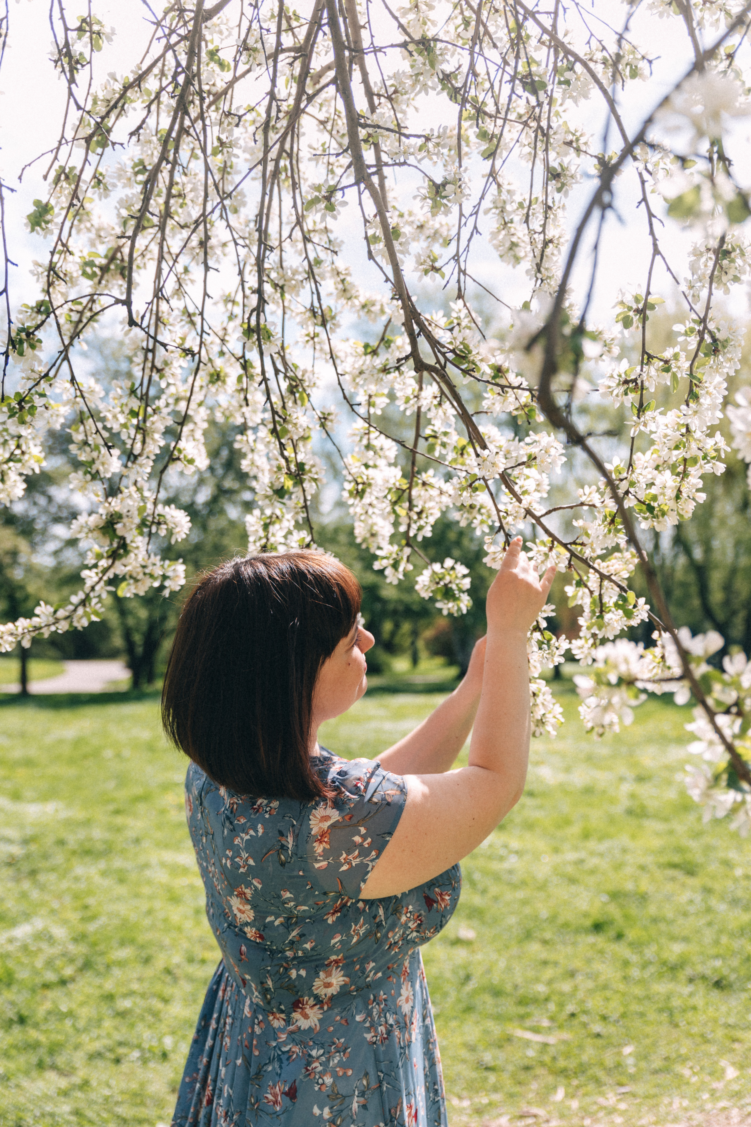 Цветение. Фотограф в Москве Ольга Svog