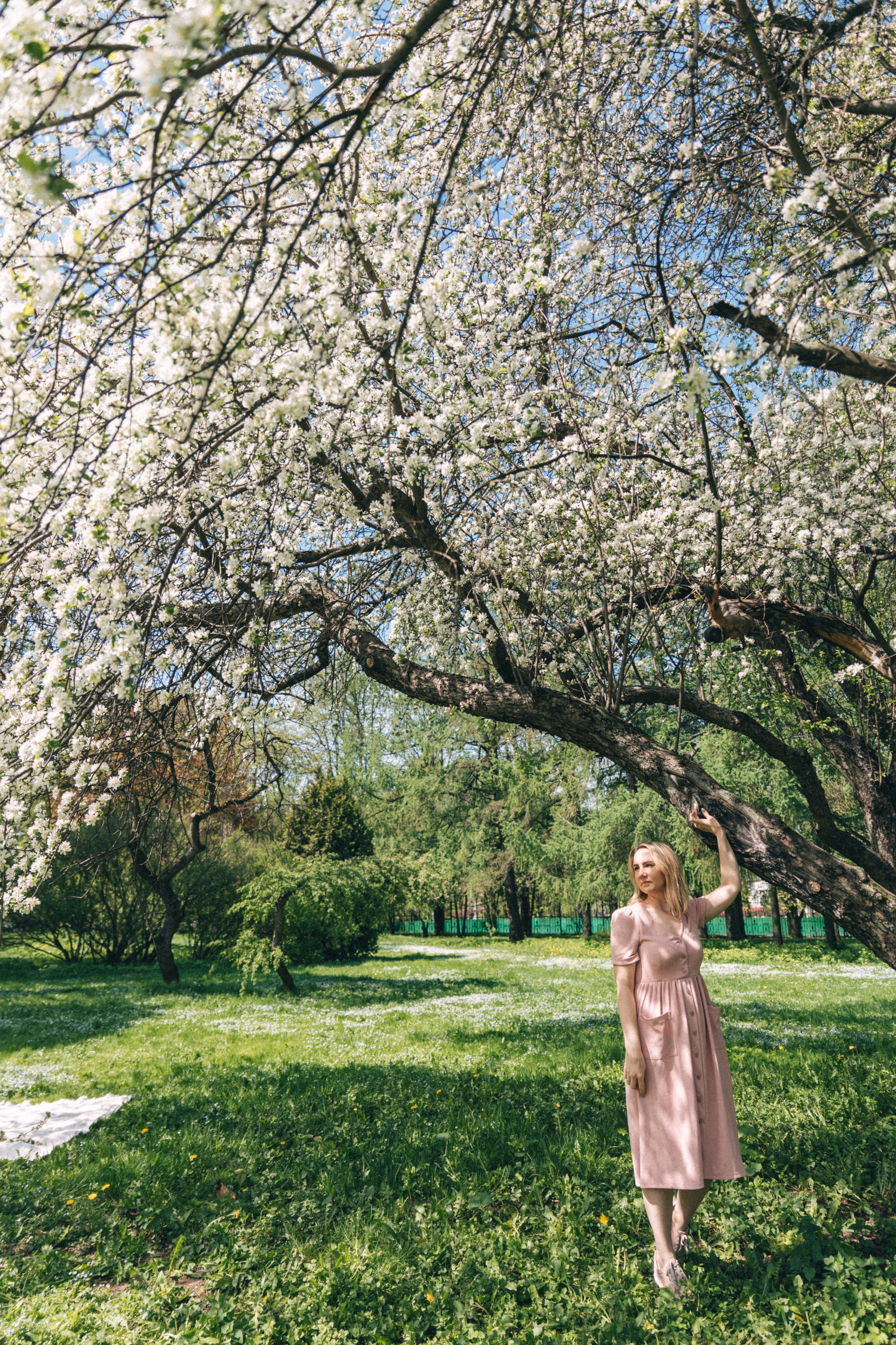 Цветение. Фотограф в Москве Ольга Svog