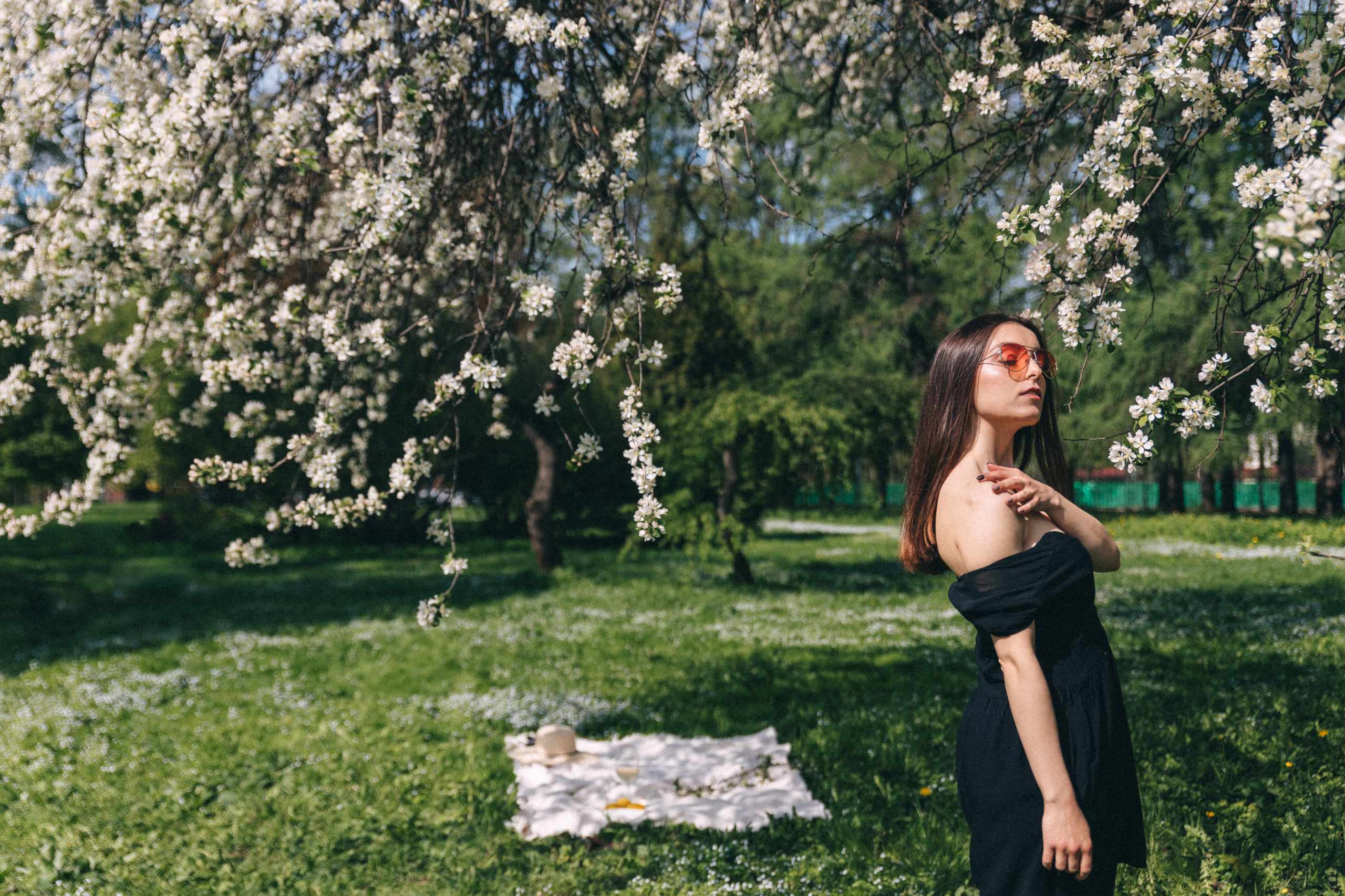 Цветение. Фотограф в Москве Ольга Svog