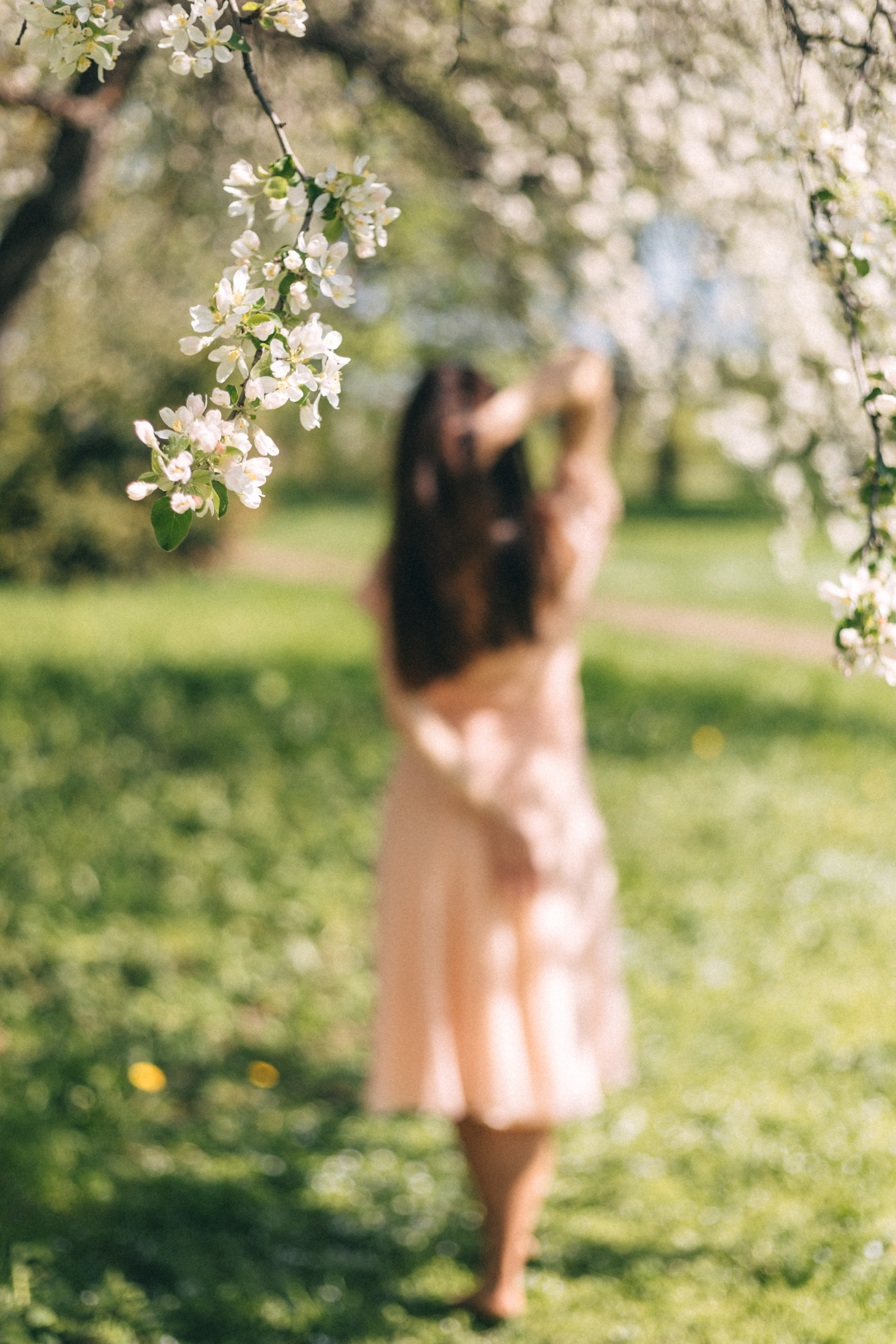 Цветение. Фотограф в Москве Ольга Svog