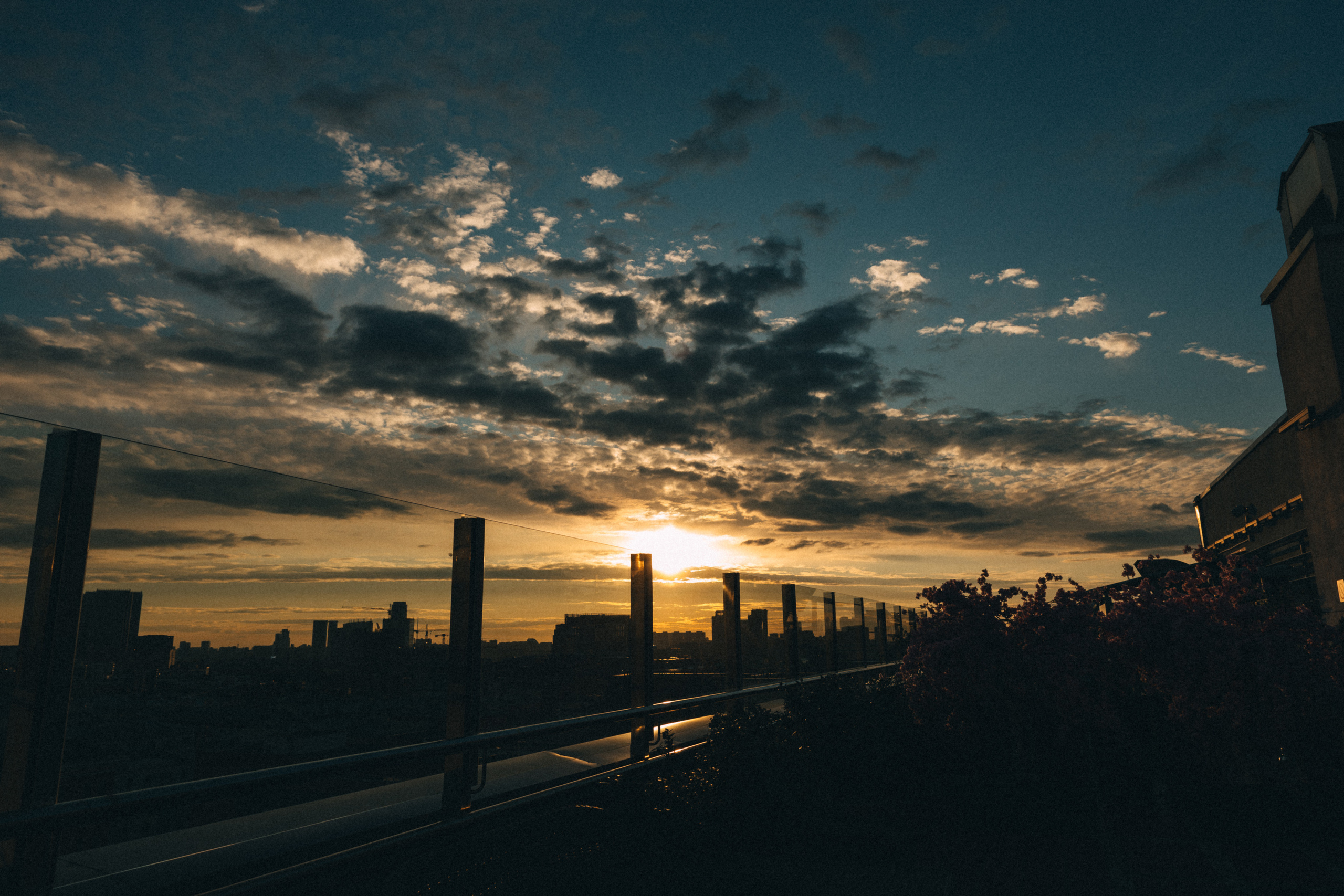 Свадьбы. Фотограф в Москве Ольга Svog