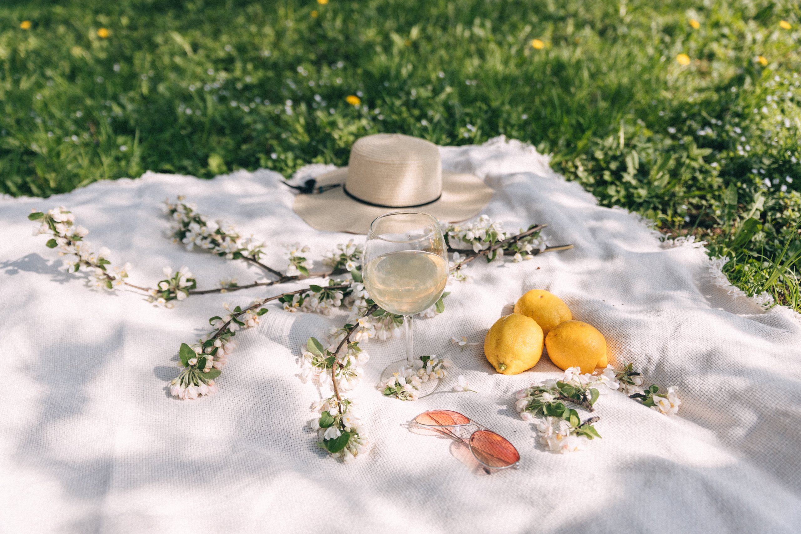 Цветение. Фотограф в Москве Ольга Svog