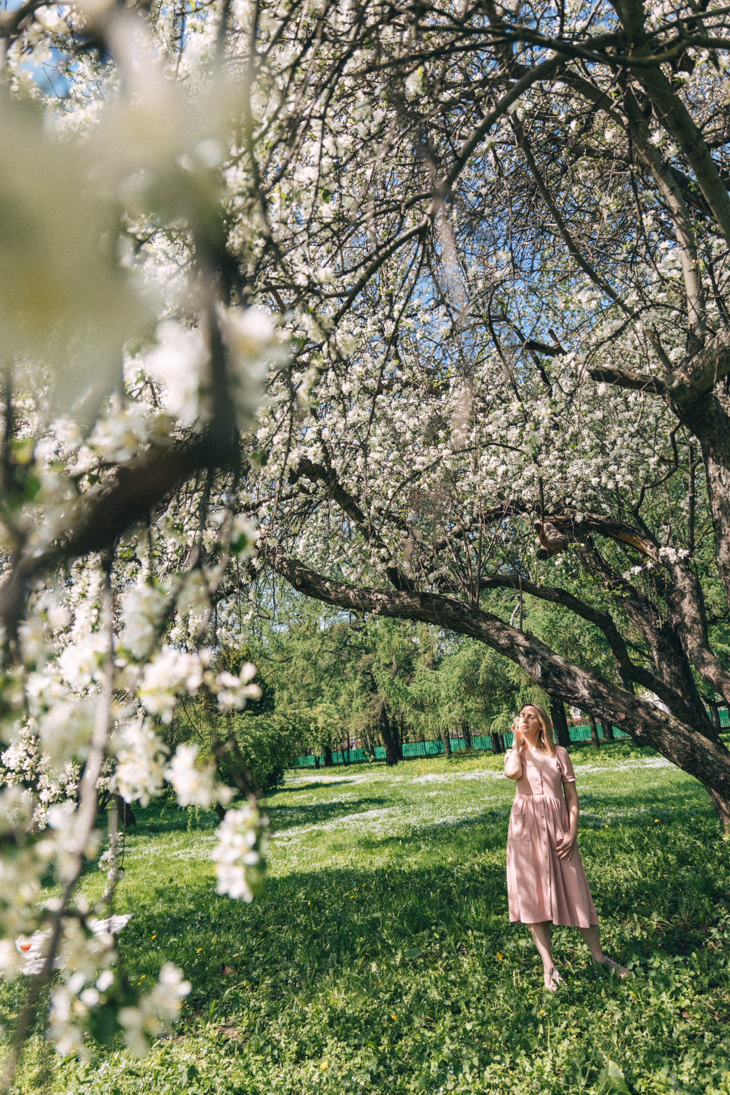 Цветение. Фотограф в Москве Ольга Svog